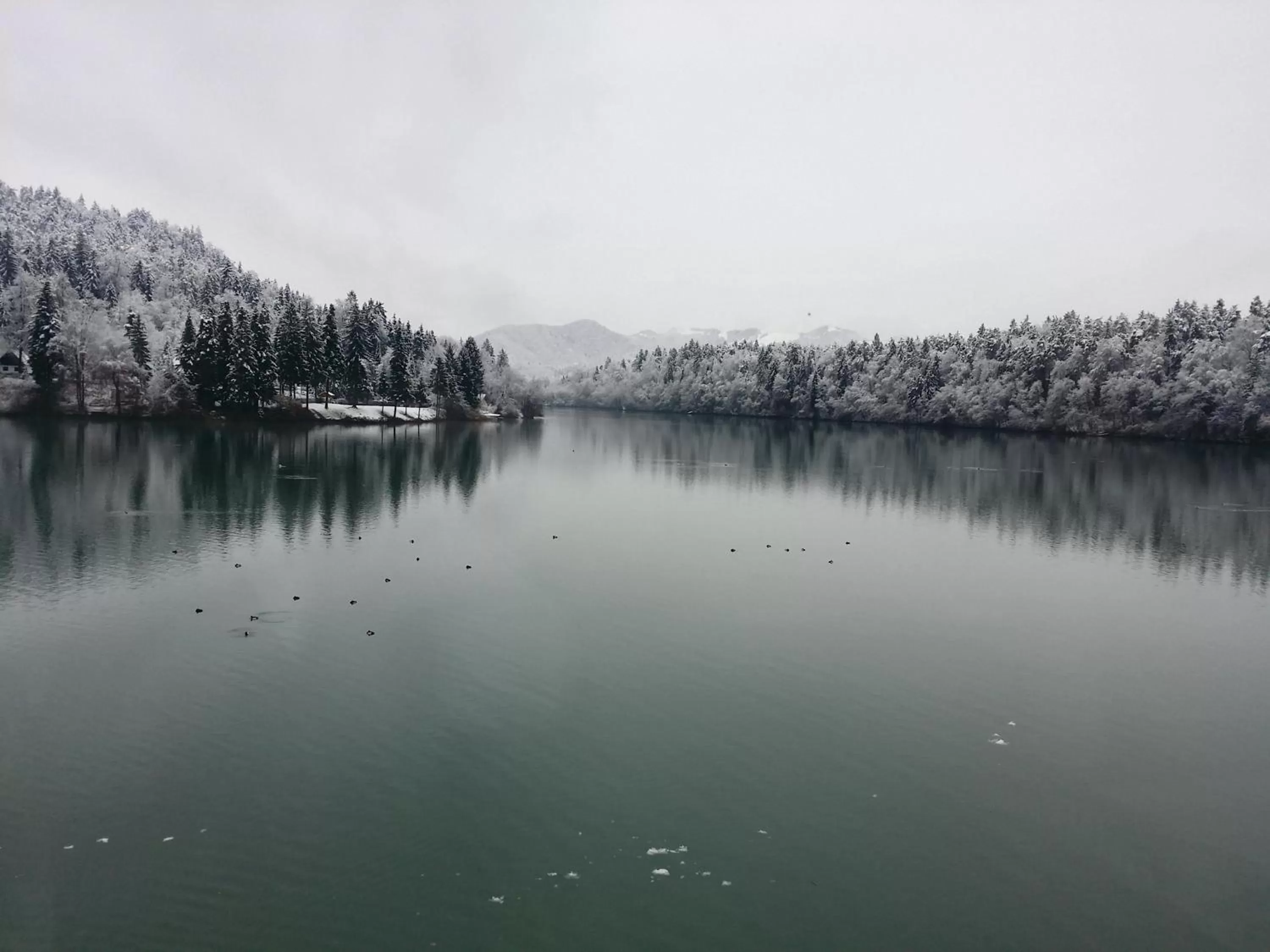 Lake view in Gostisce Jezero