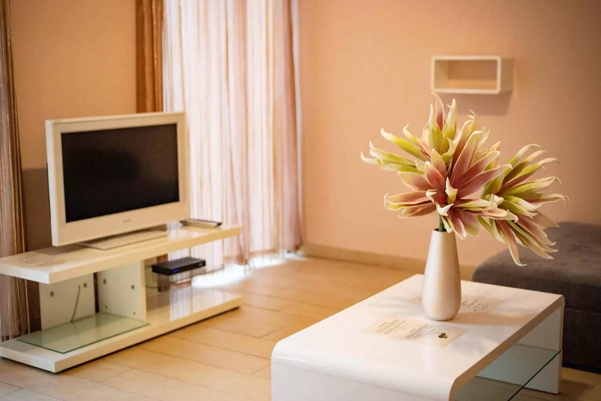 TV/Entertainment Center in Maya Panzio