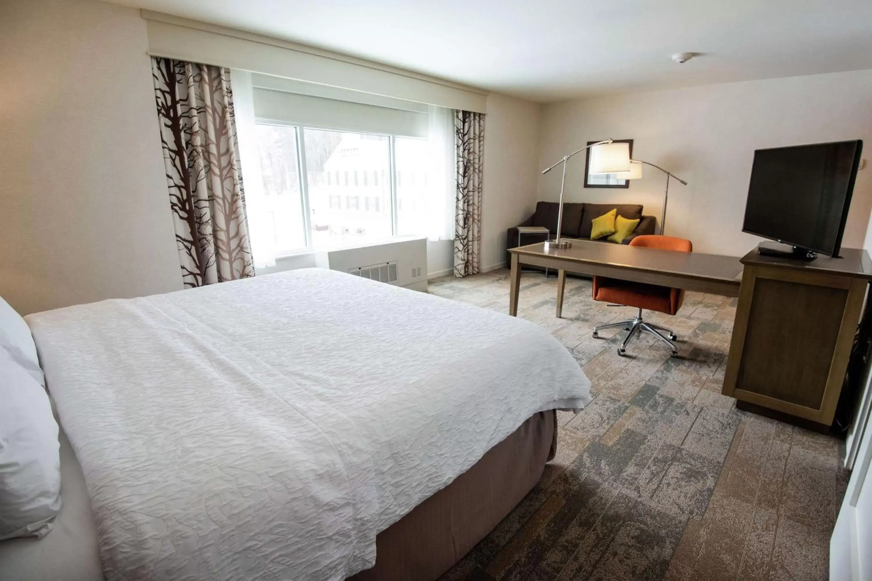 King Studio Suite - Non Smoking in Hampton Inn & Suites Manchester, Vt King Studio Suite - Non Smoking in Hampton Inn & Suites Manchester, Vt