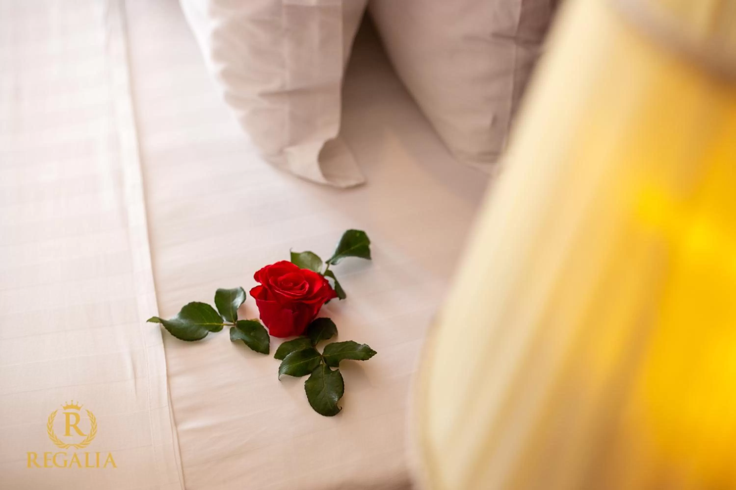 Decorative detail, Bed in Regalia Nha Trang