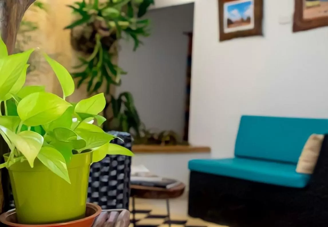 Living room, Seating Area in Hotel Iraka Zenu
