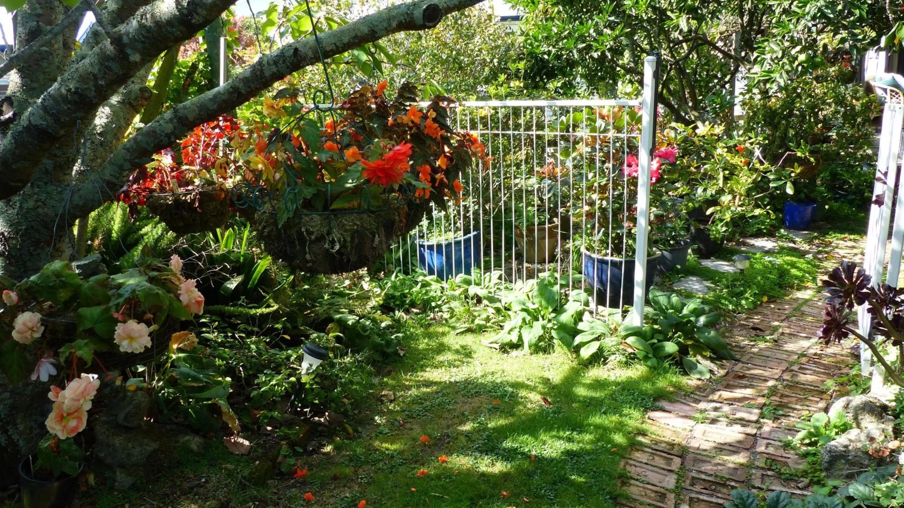 Day, Garden in Ashcroft Gardens Bed & Breakfast