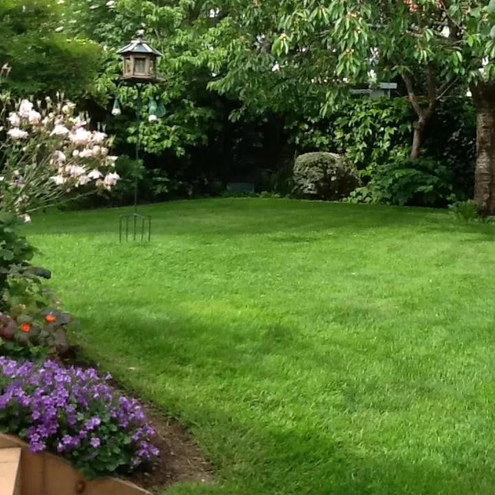 Agora Mijo Chambre d'Hôtes