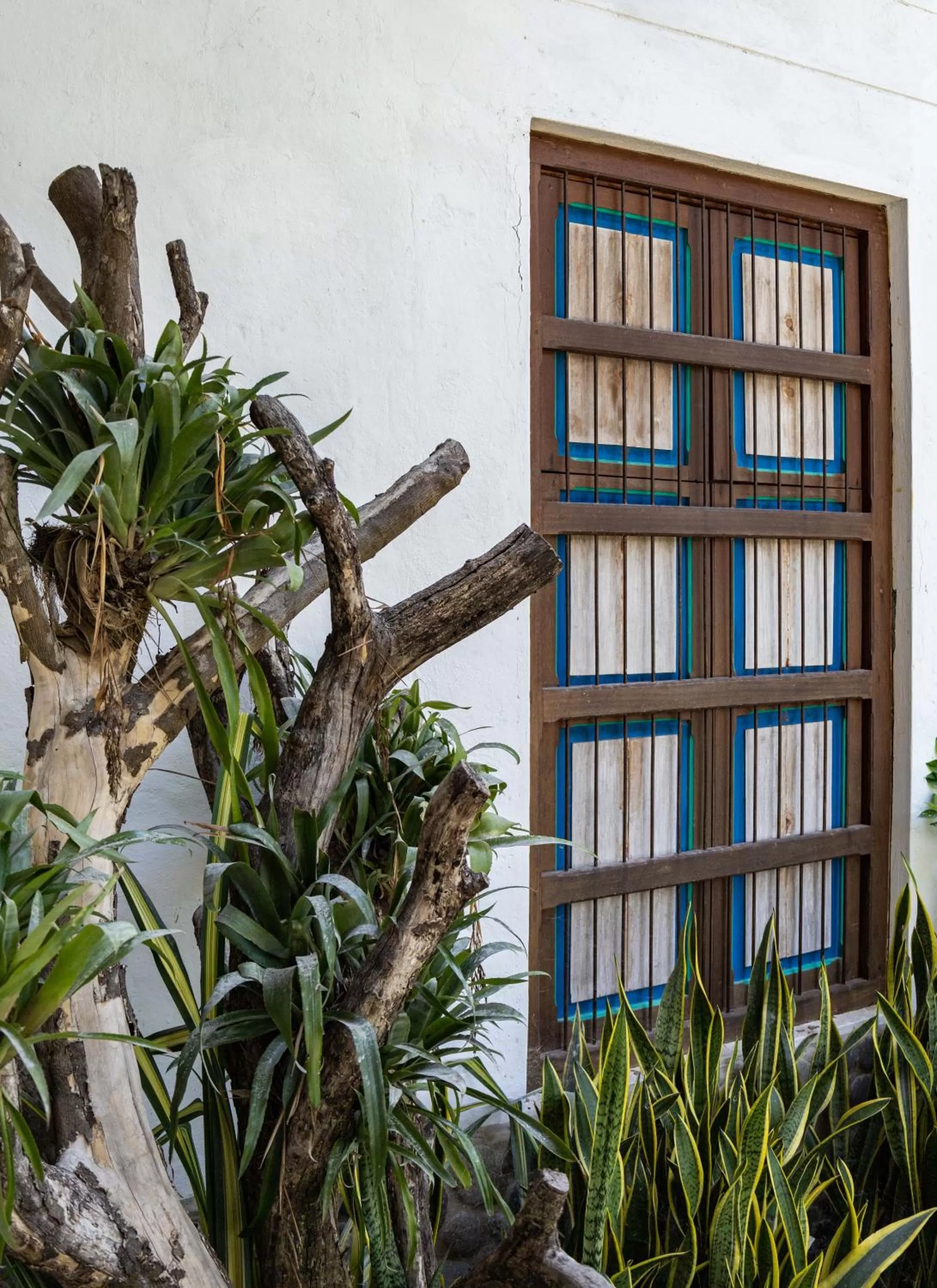 Area and facilities, Property Building in Casa Jacaranda Hotel Boutique