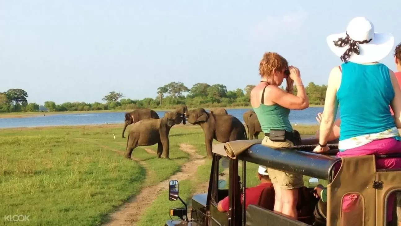 Canal Side Guest House Polonnaruwa