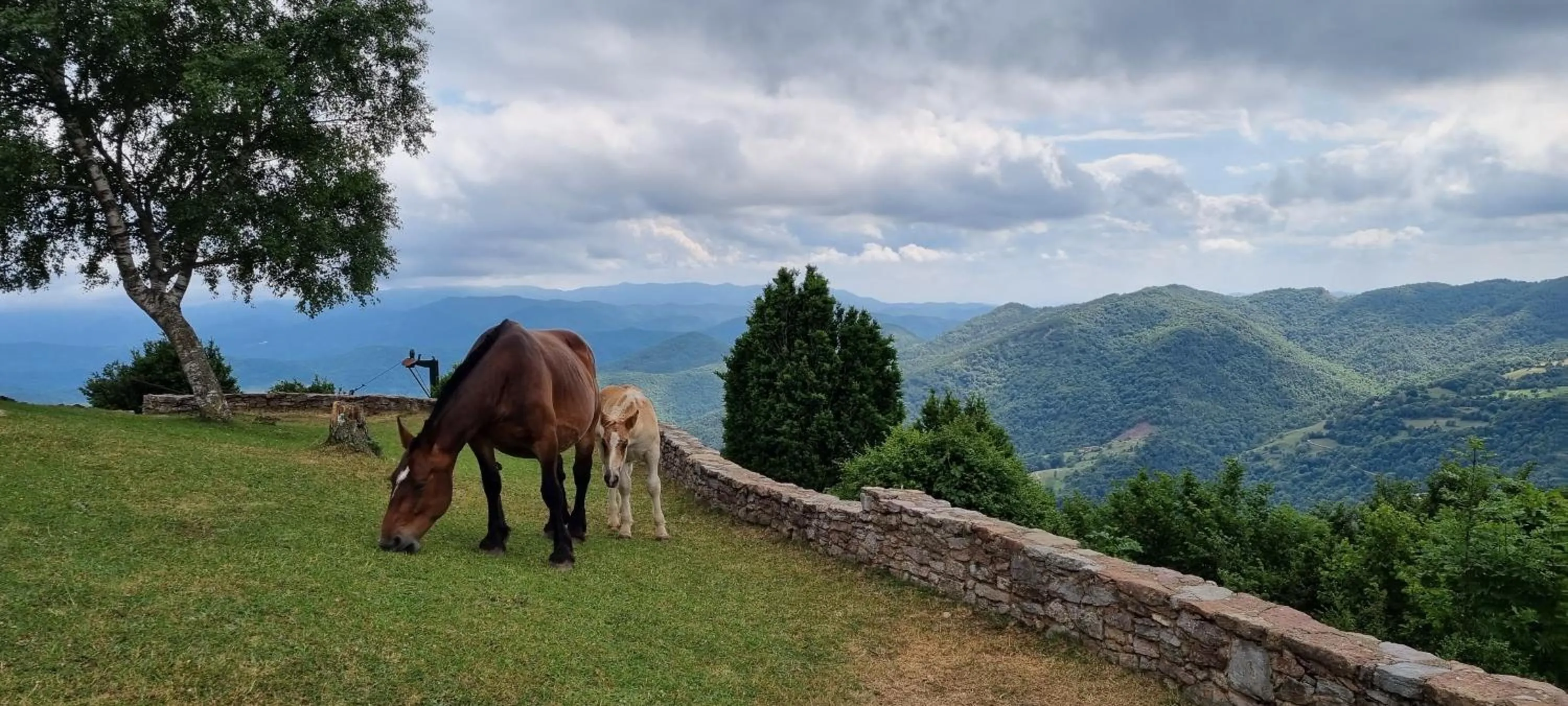 Natural landscape in Hotel Mas de Xaxas