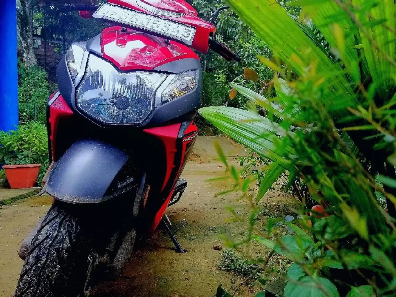 Activities in The Horizon Root Inn