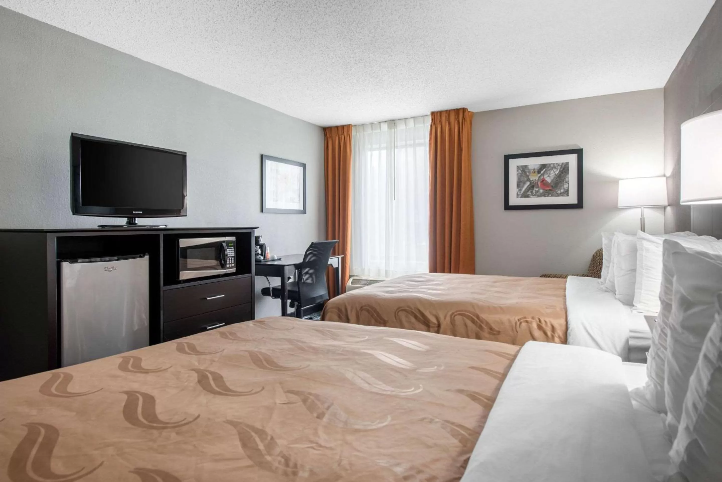 Photo of the whole room, Bed in Quality Inn & Suites Brownsburg - Indianapolis West