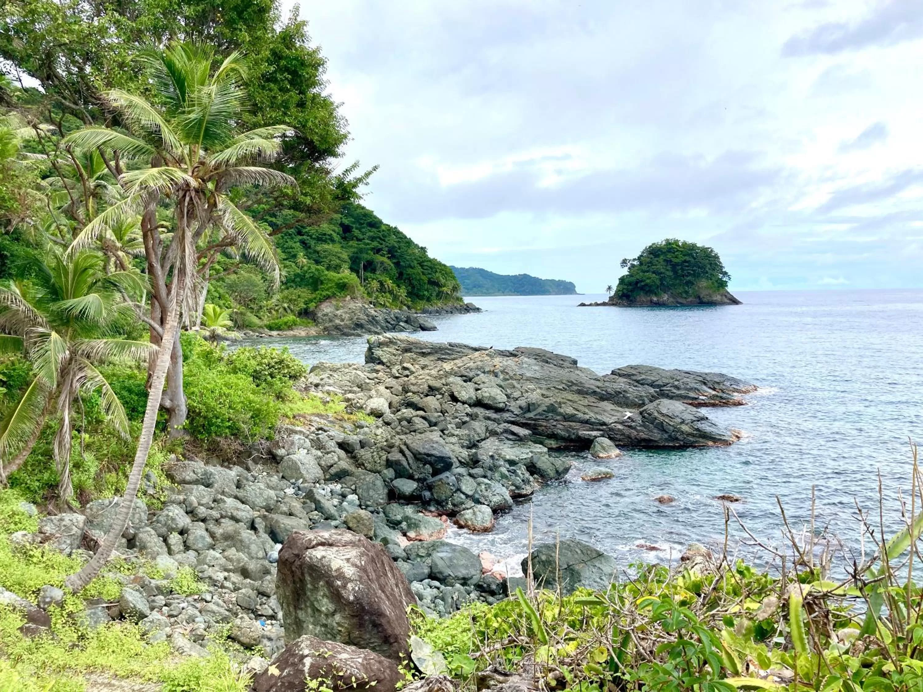 Natural Landscape in Los Robles Capurgana
