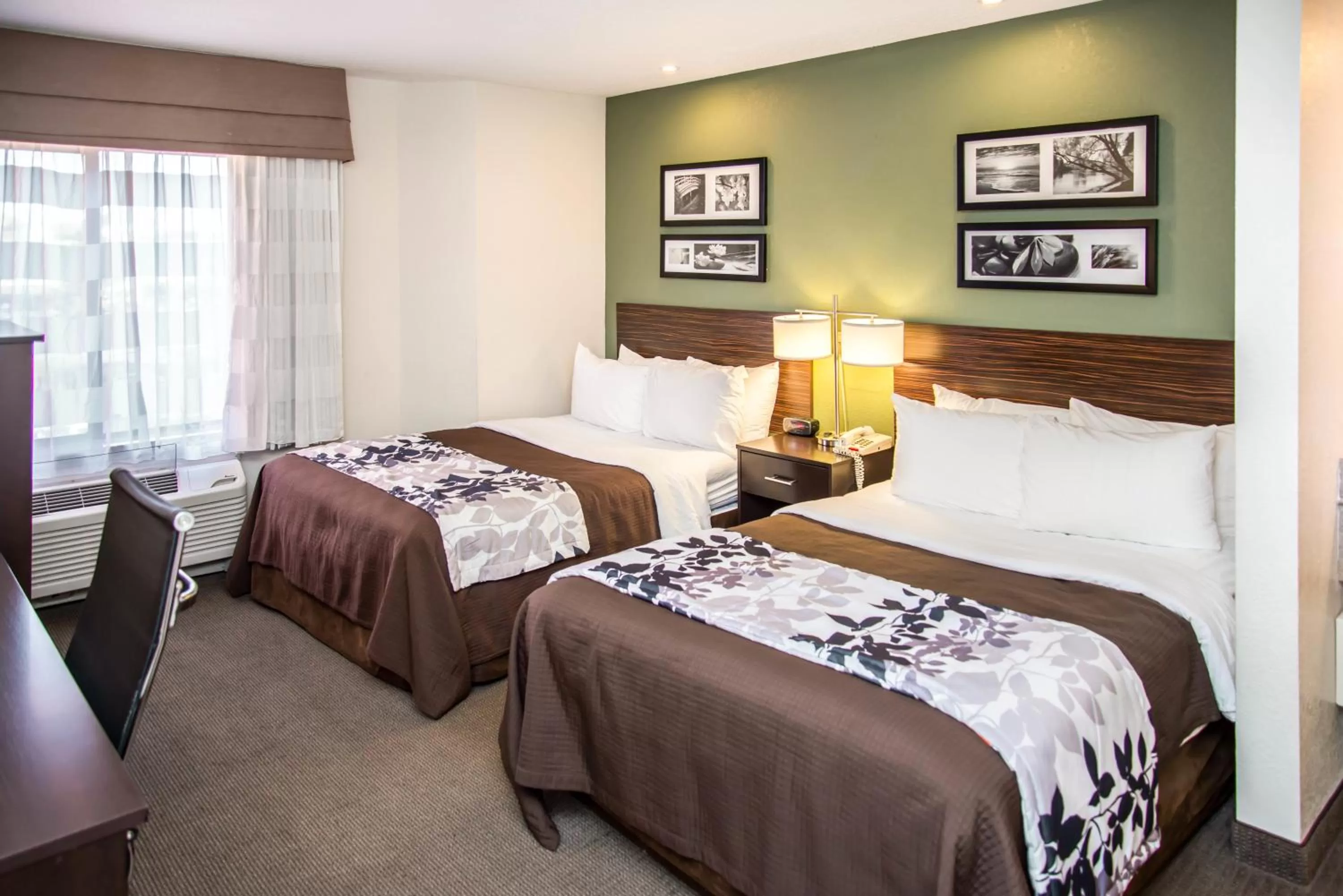 Standard Queen Room with Two Queen Rooms - Non-Smoking in Sleep Inn University Place