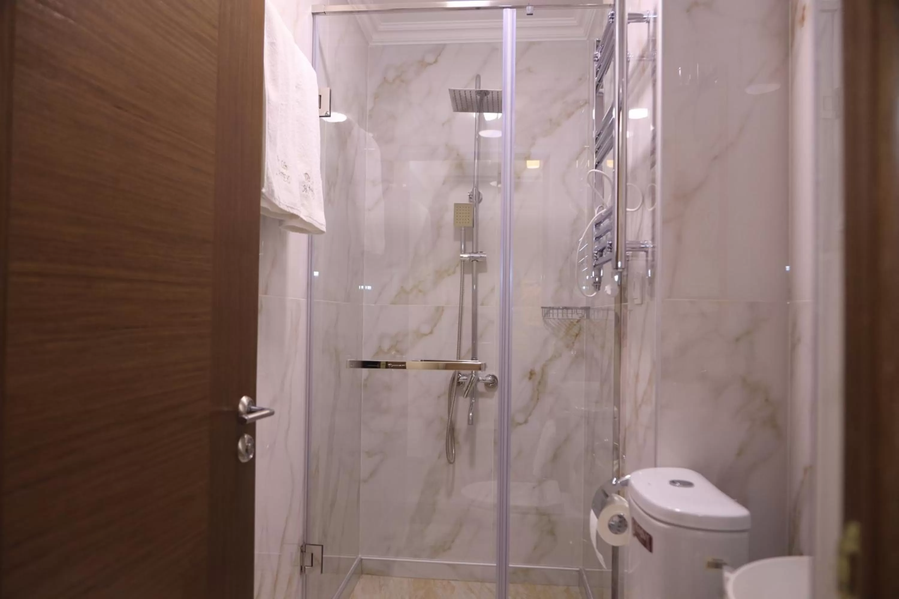 Shower, Bathroom in DeLin Hotel And Tours