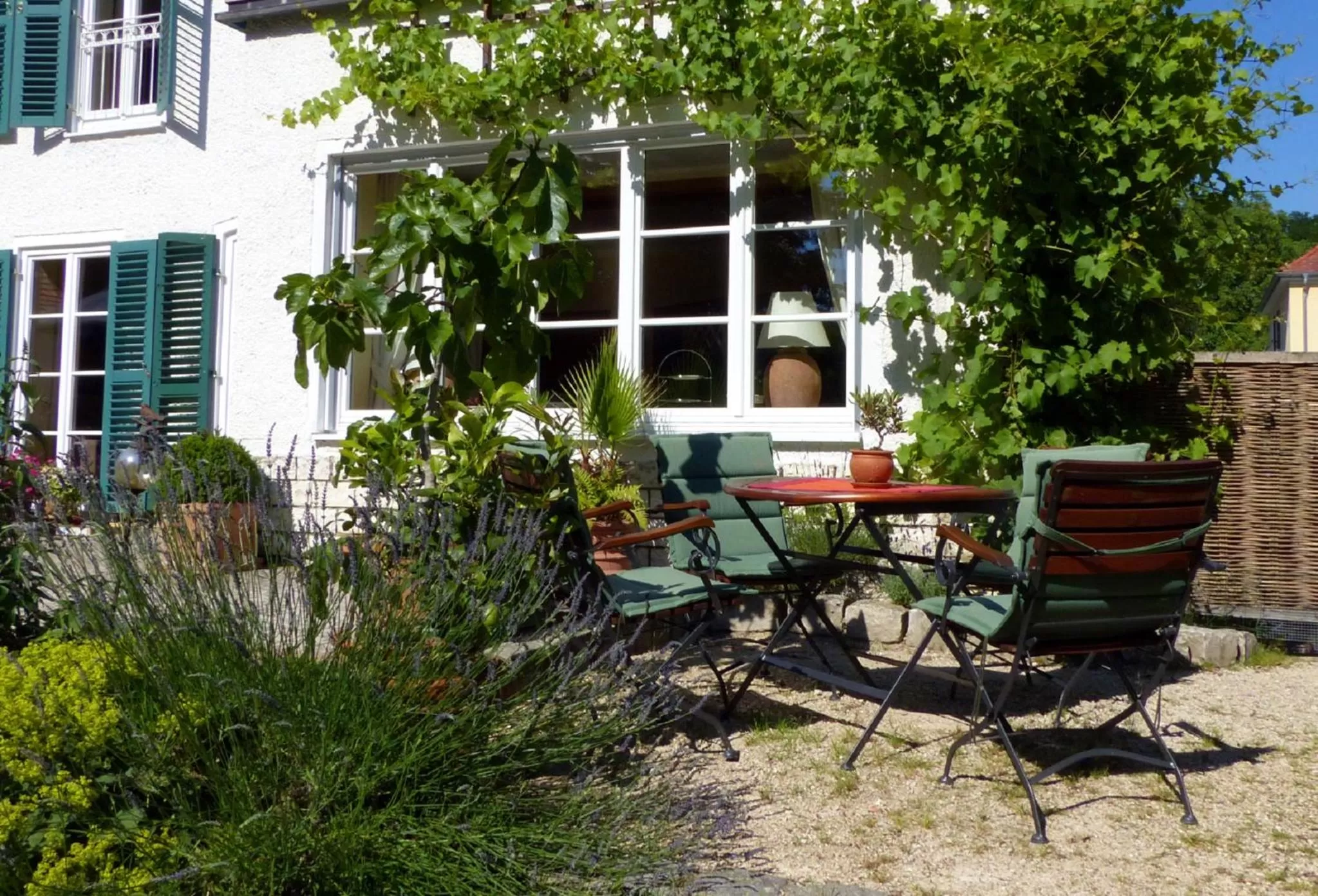 Garden in Bed and Breakfast unter den Linden