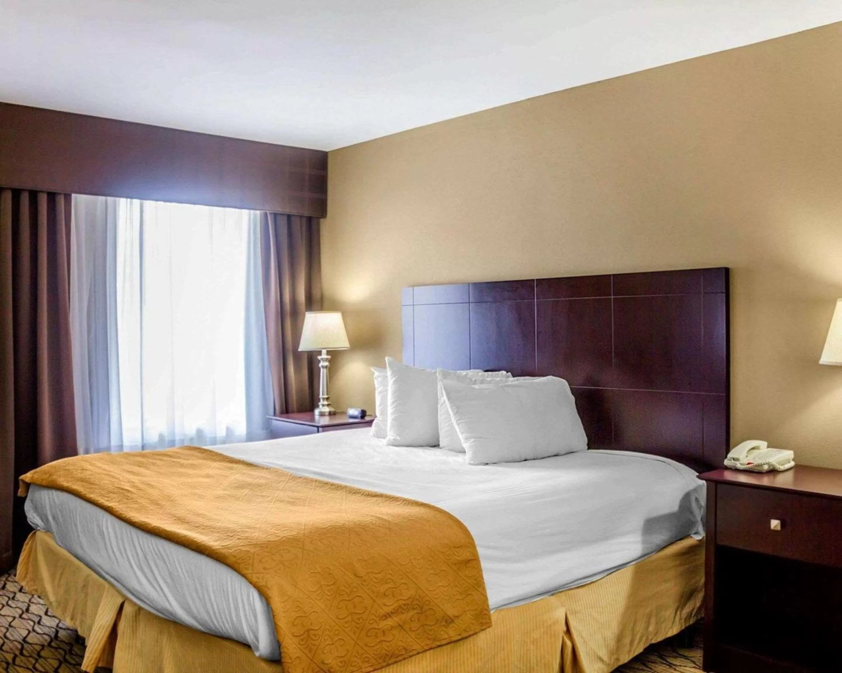 Photo of the whole room, Bed in Quality Inn Waterbury East