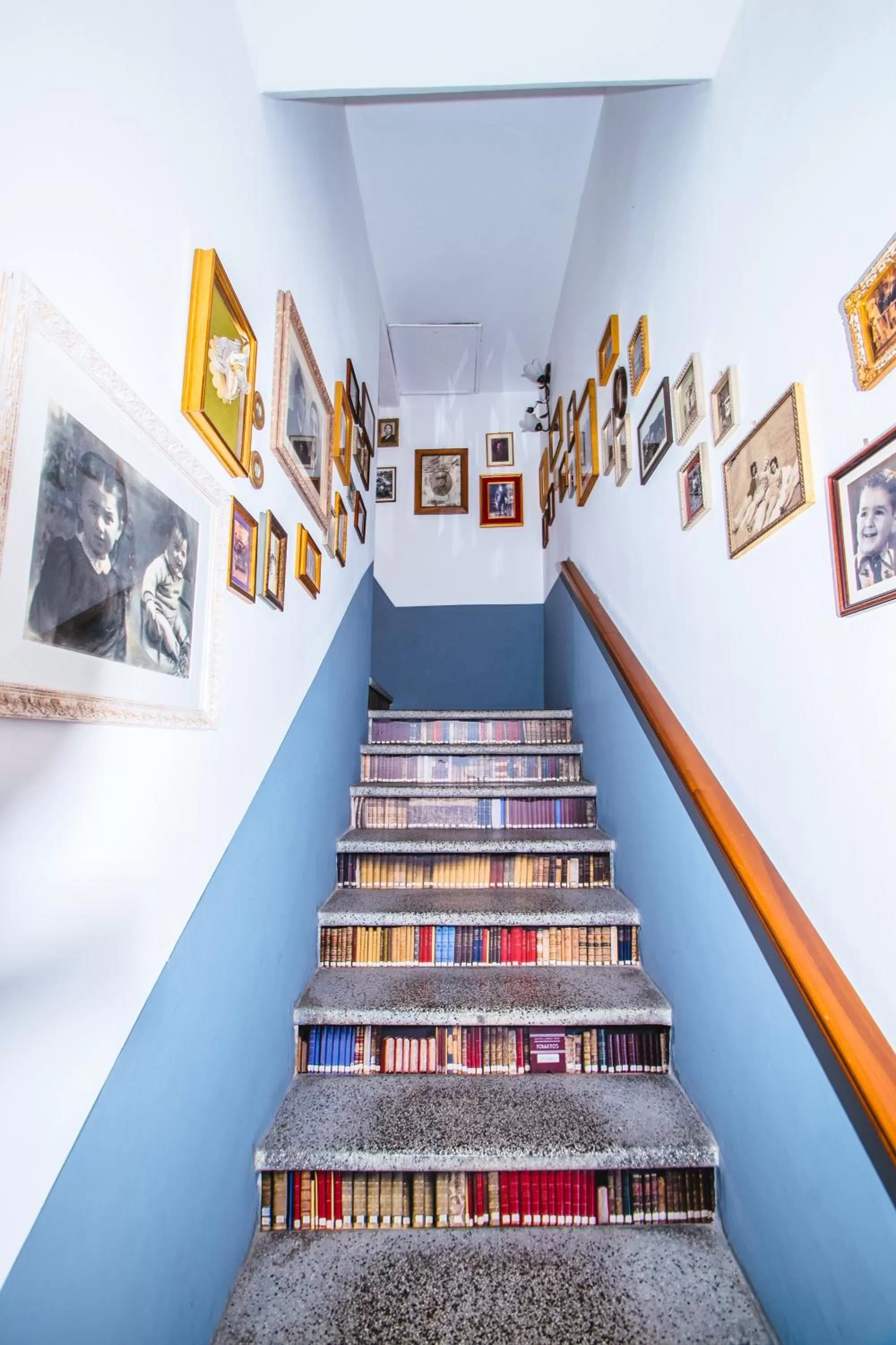 Library in La Fabbrica dell'Oro