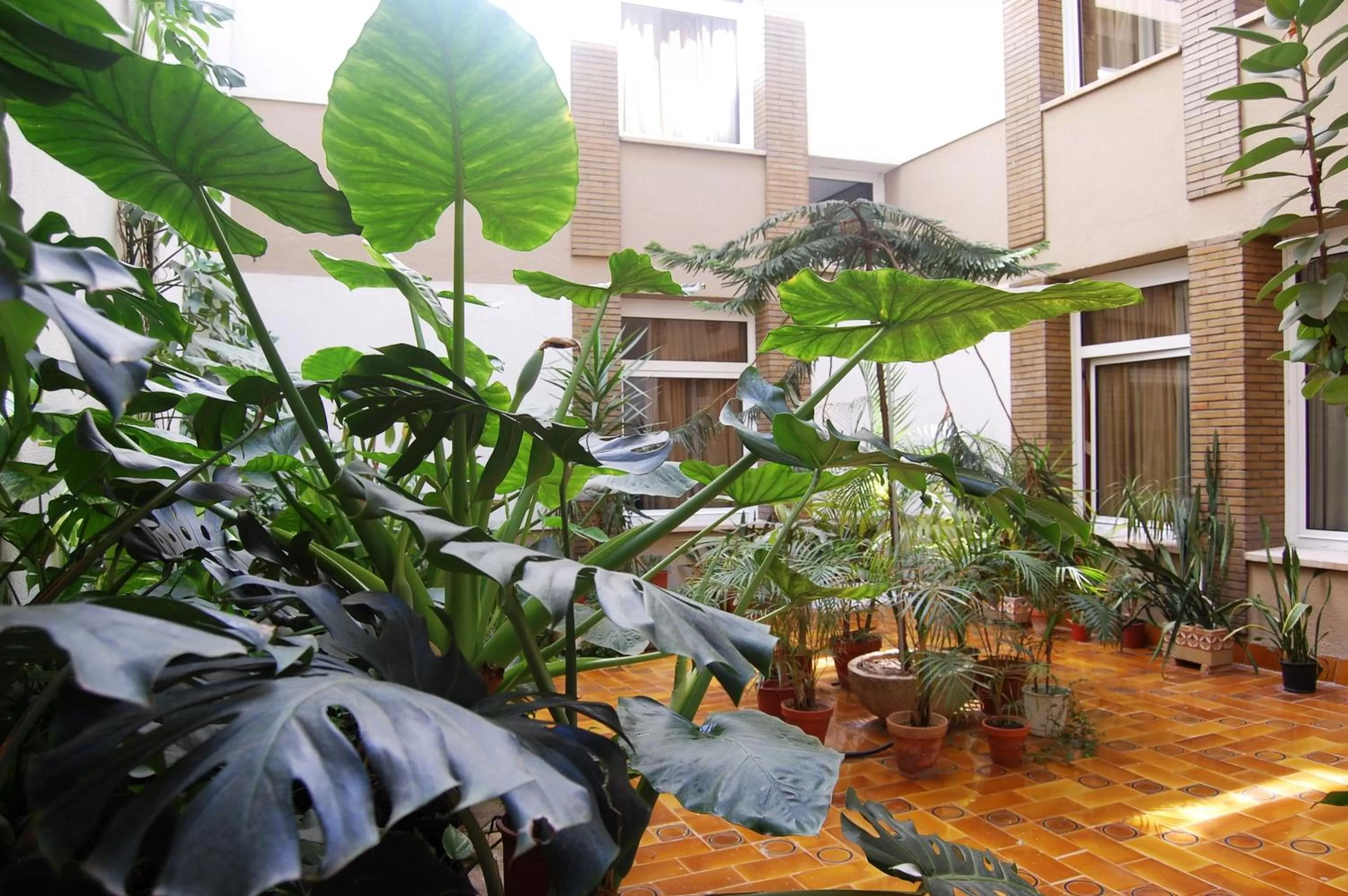 Garden in Hotel Pasarela