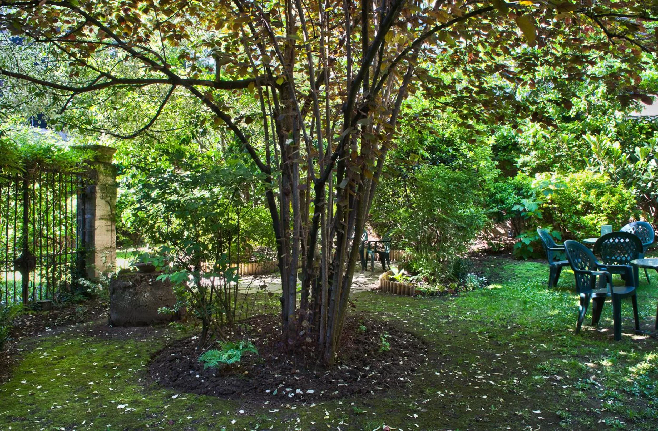 Garden in Abaca Messidor by Happyculture