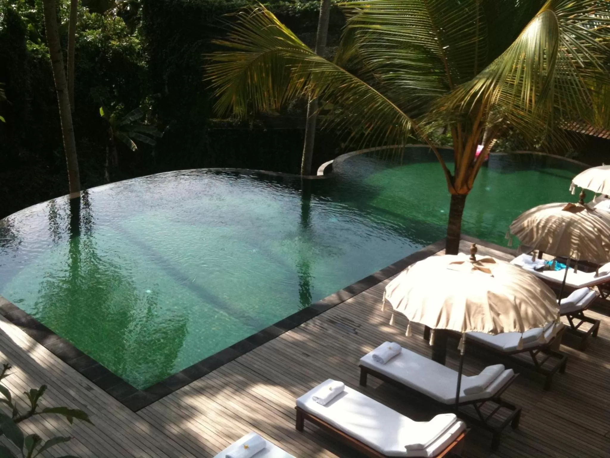 Pool view in Komaneka at Rasa Sayang Ubud
