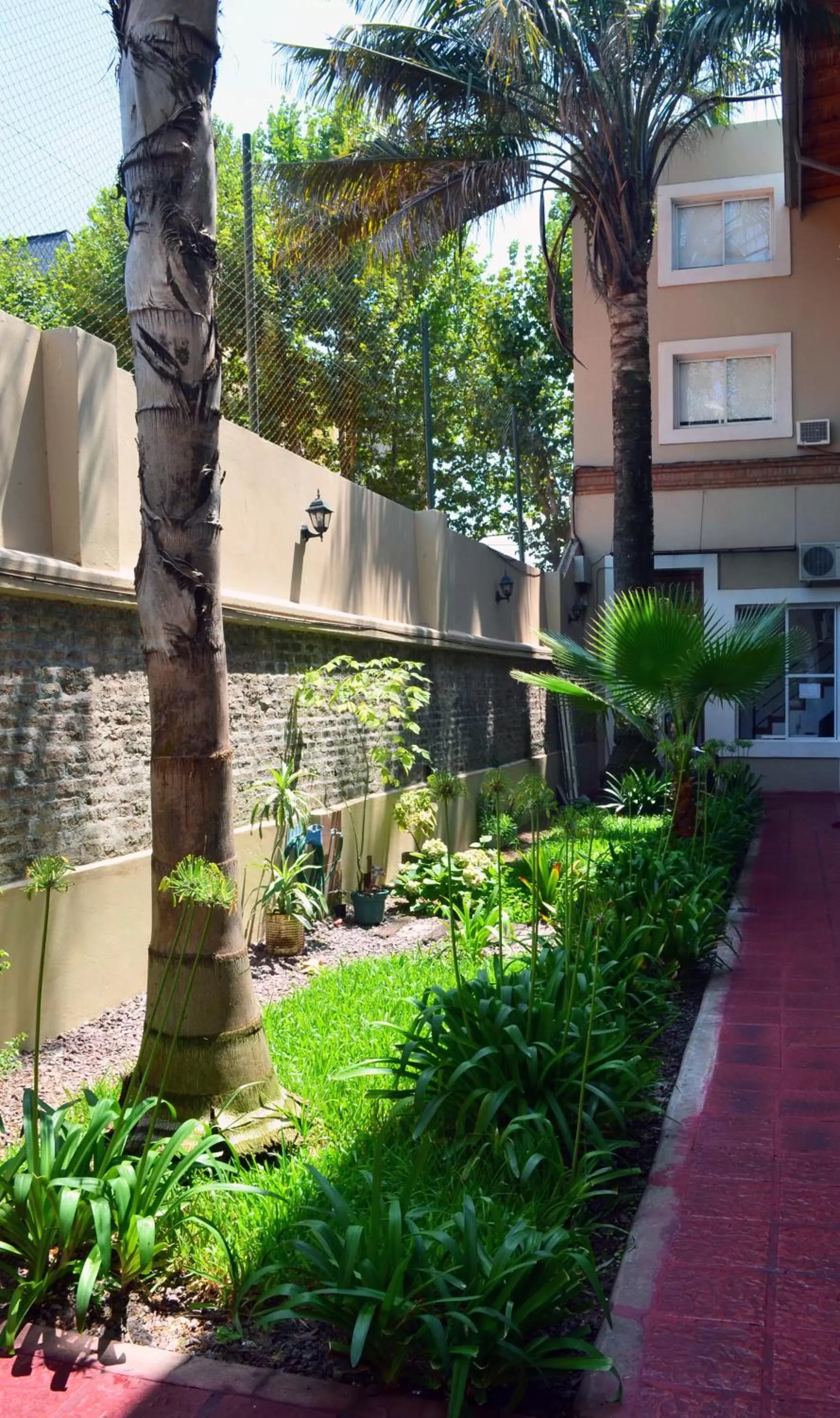 Patio, Garden in Puerto Delta