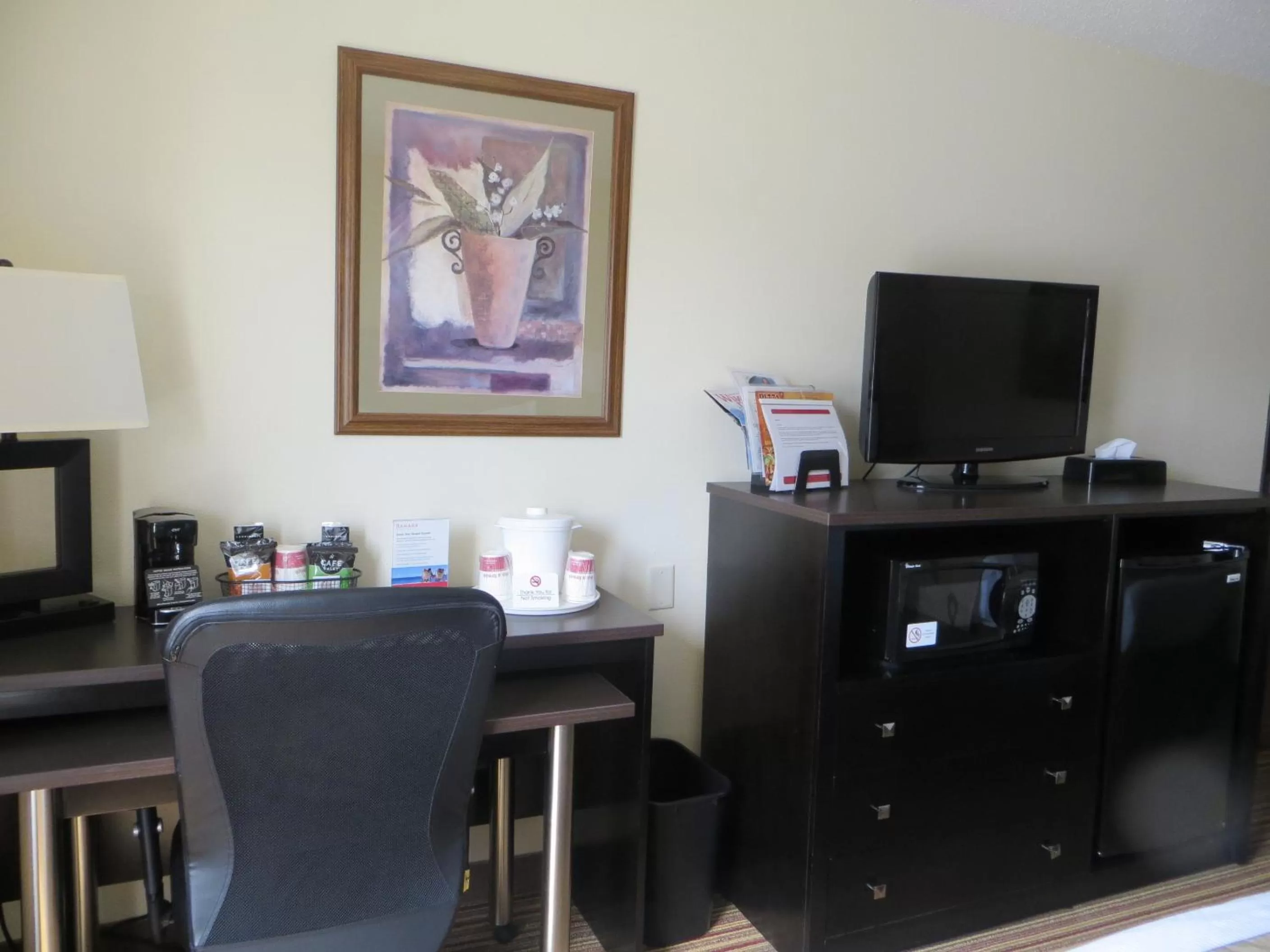 TV and multimedia in Ramada by Wyndham Wisconsin Dells I-90