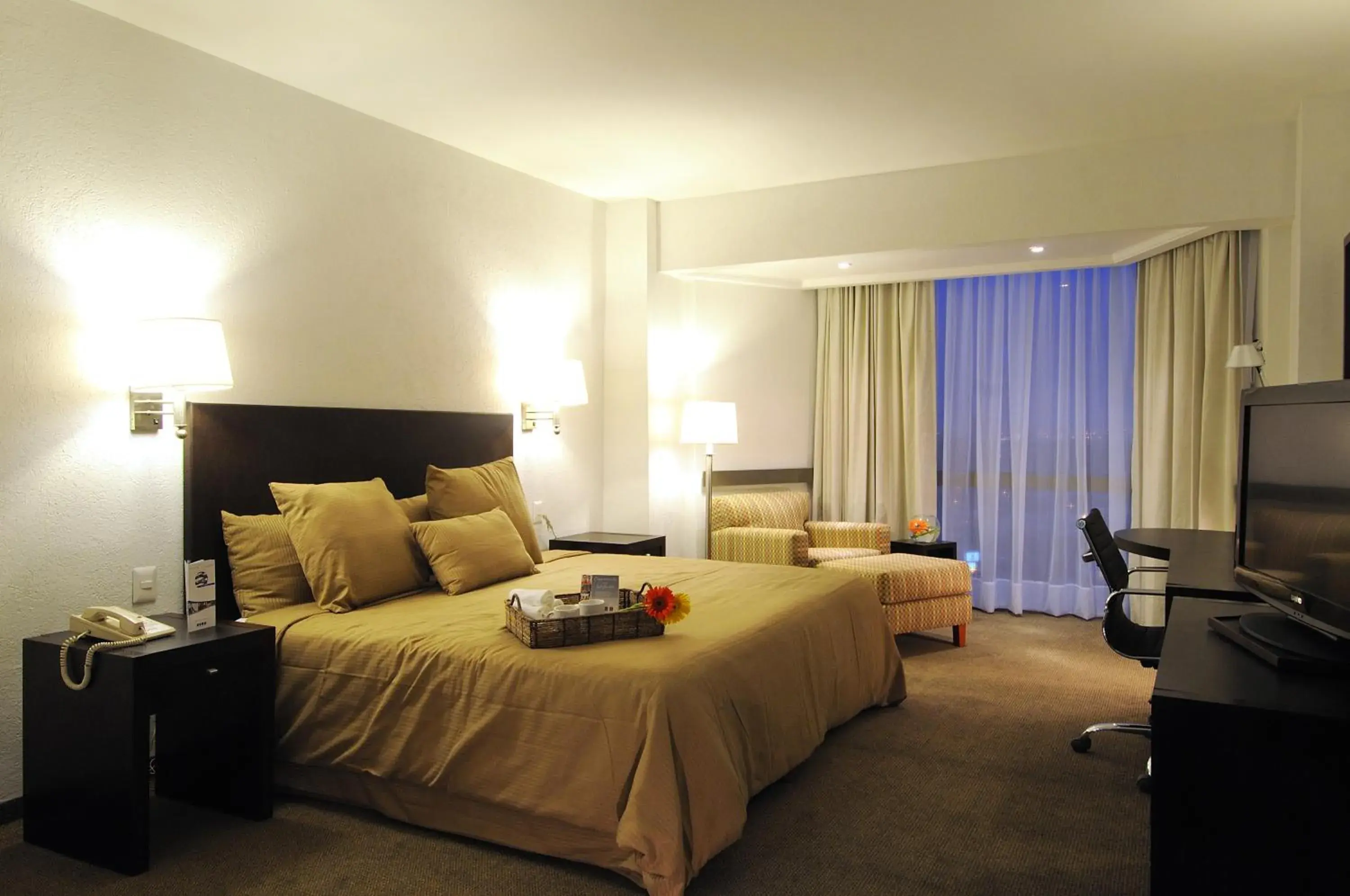 Preferential Room with One Bed in Mision Torreon Preferential Room with One Bed in Mision Torreon