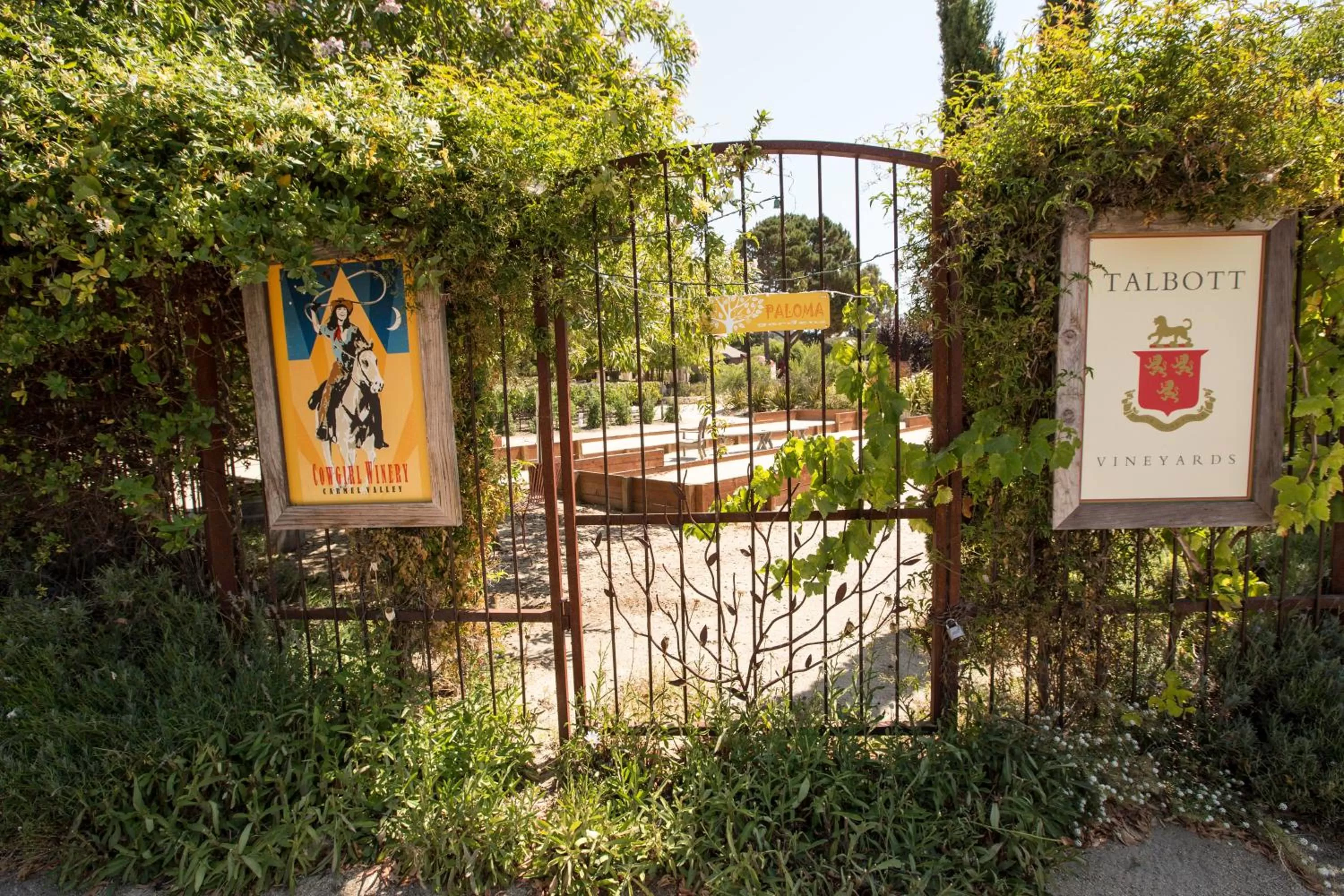 Activities in Contenta Inn