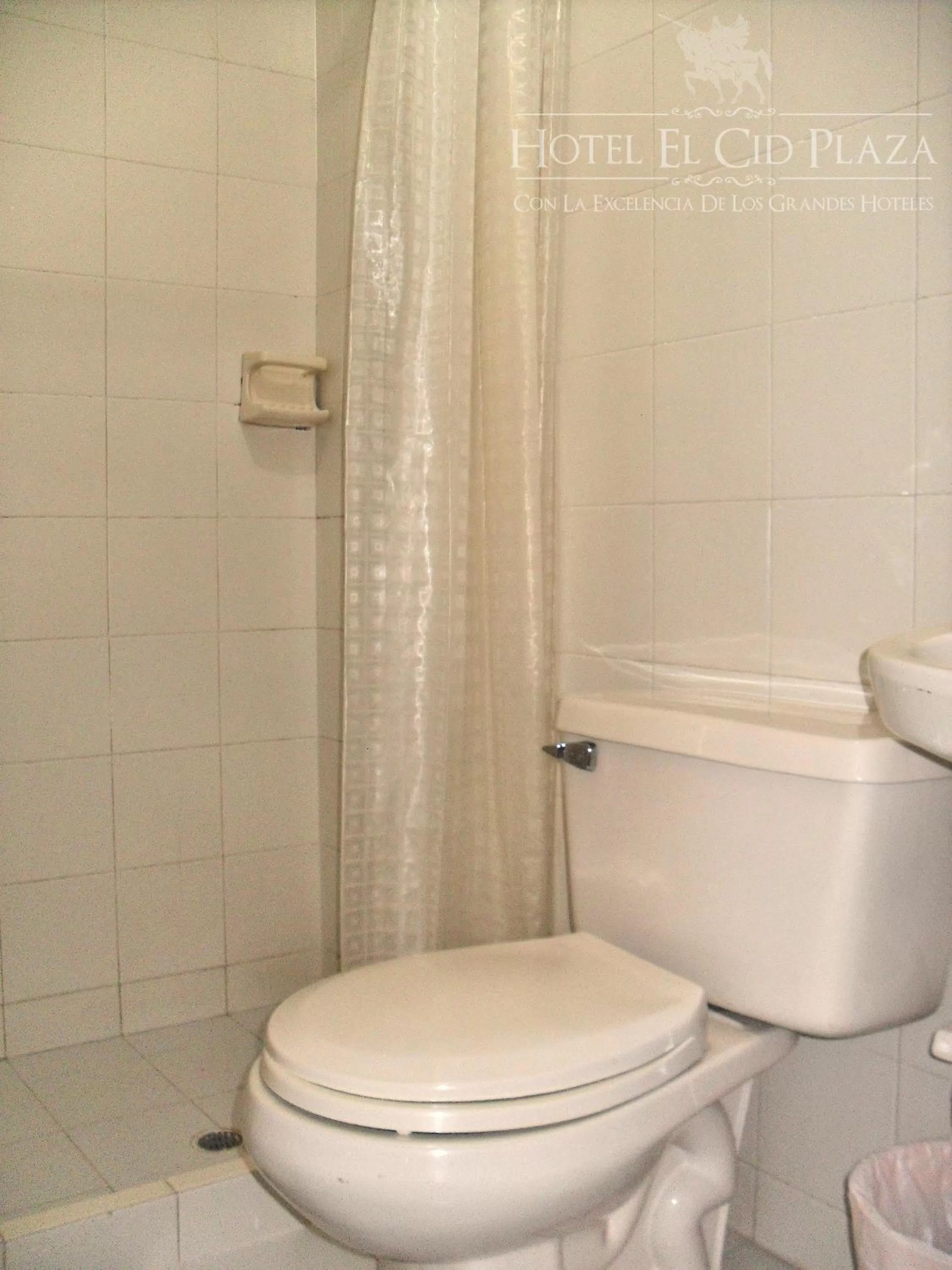 Standard Triple Room in Hotel El Cid Plaza Premium