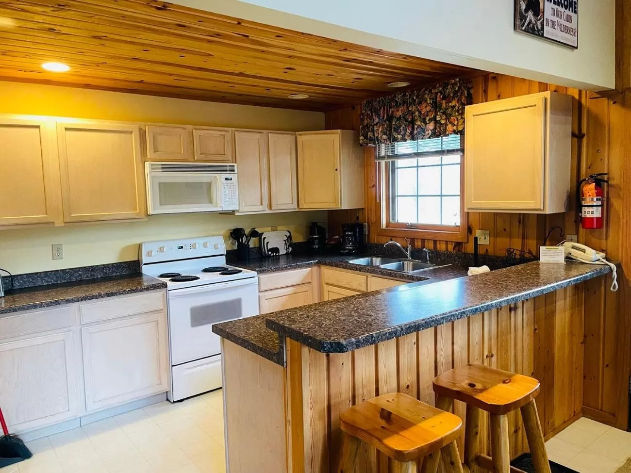 Kitchen or kitchenette in Drummond Island Resort