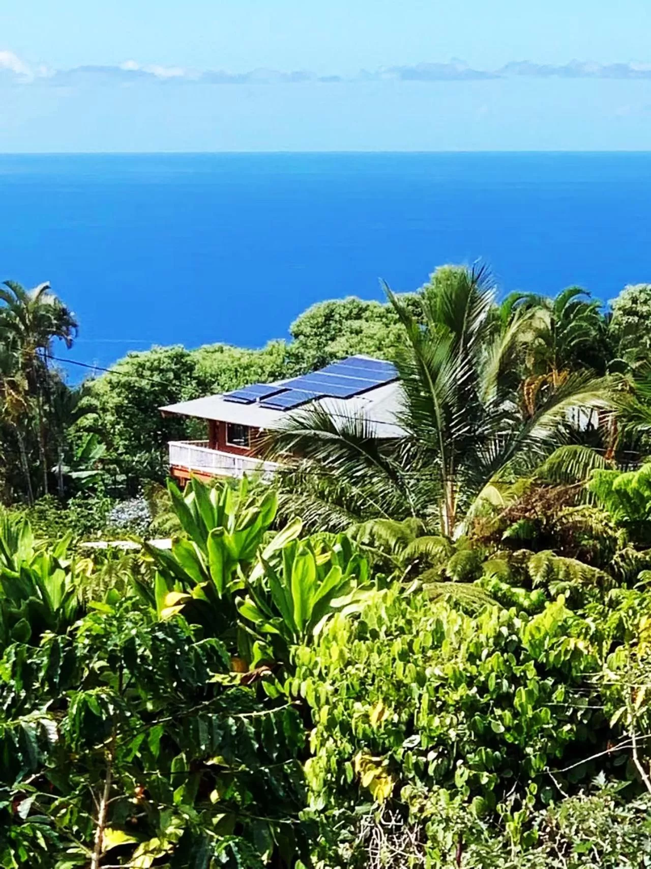 Property building in Coffee Garden