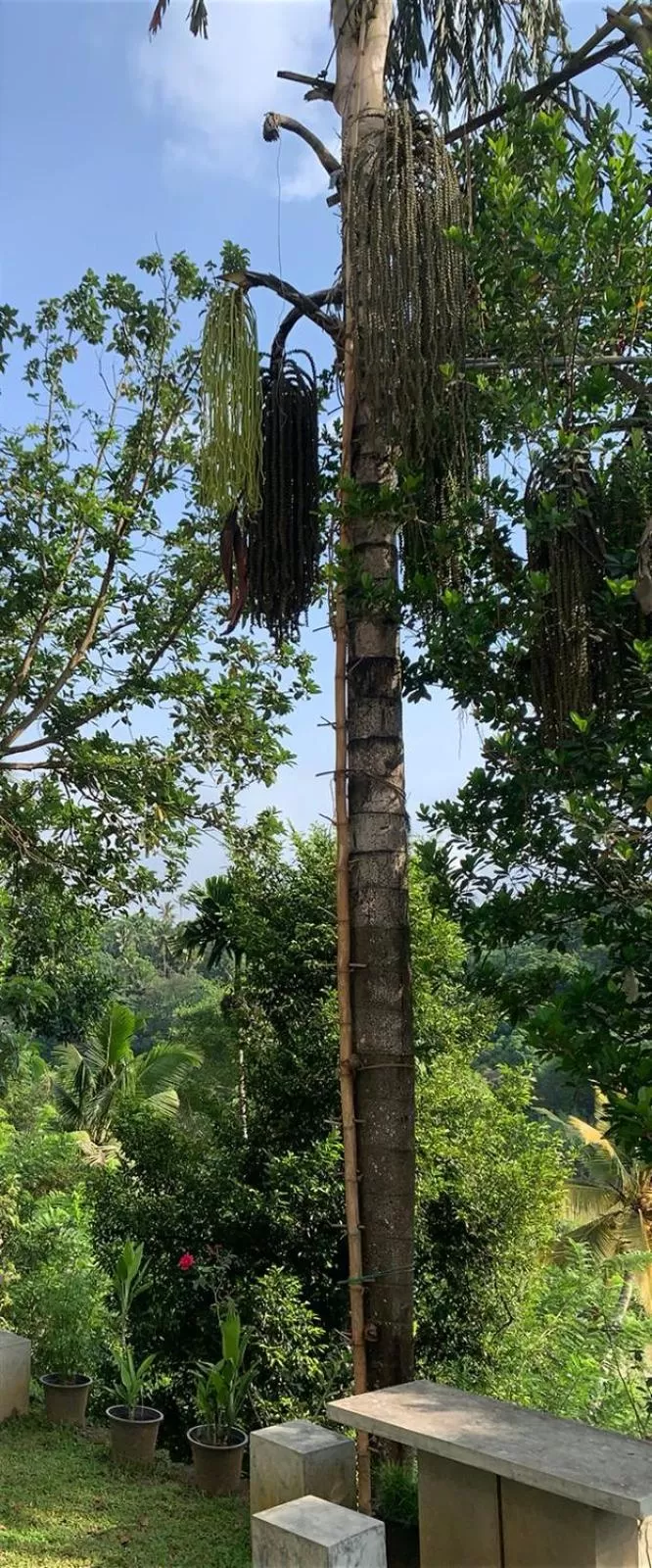 Kandy Rivers Edge Nature Resort