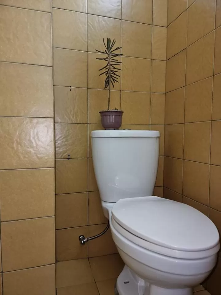 The Half House by Elmar Cabin