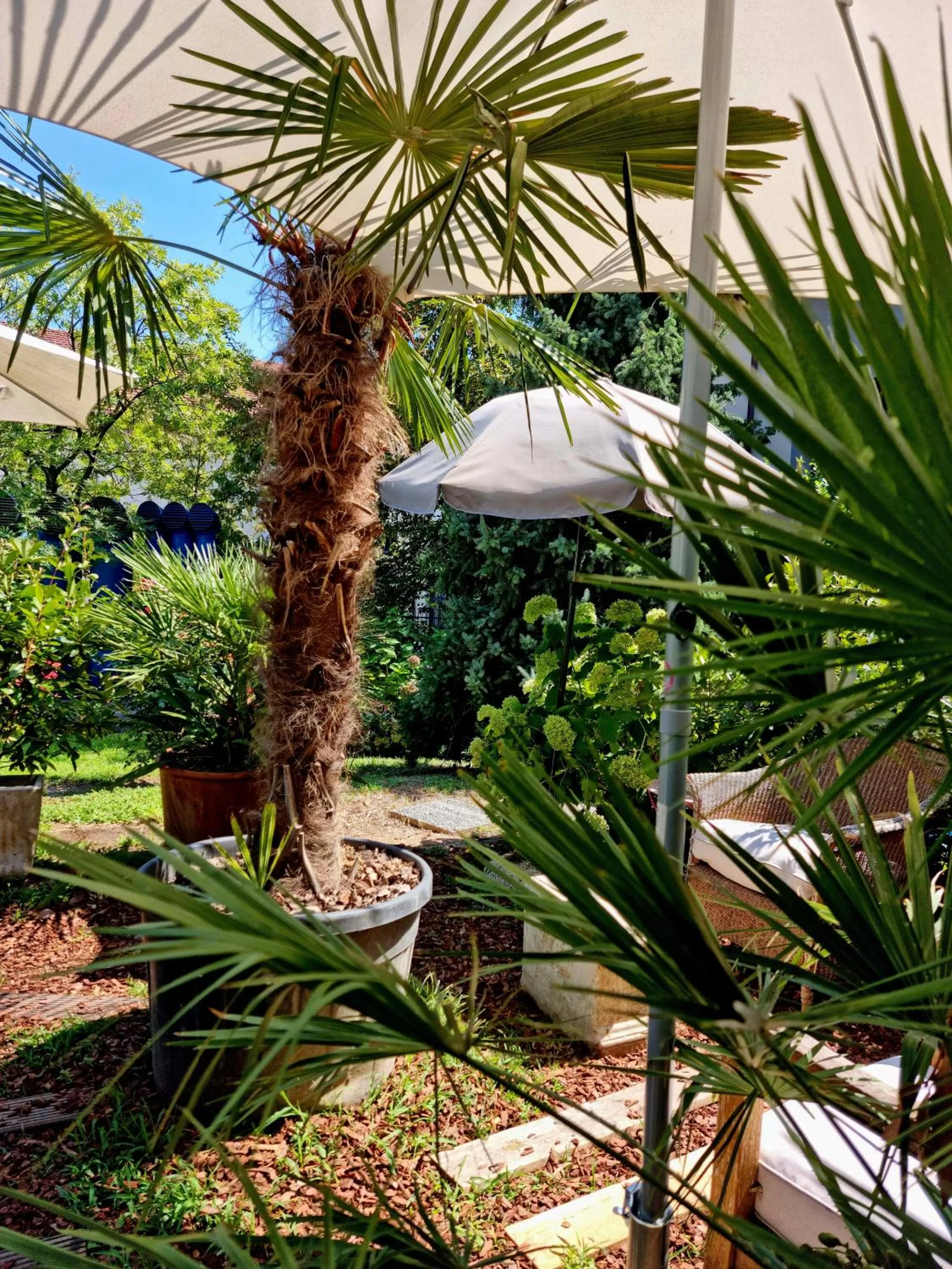 Victoria Royal Garden