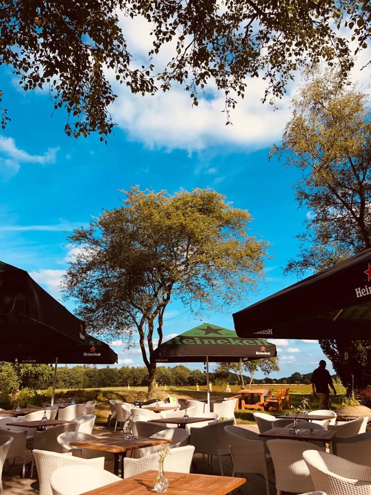 Villa BlauwHemel Diever