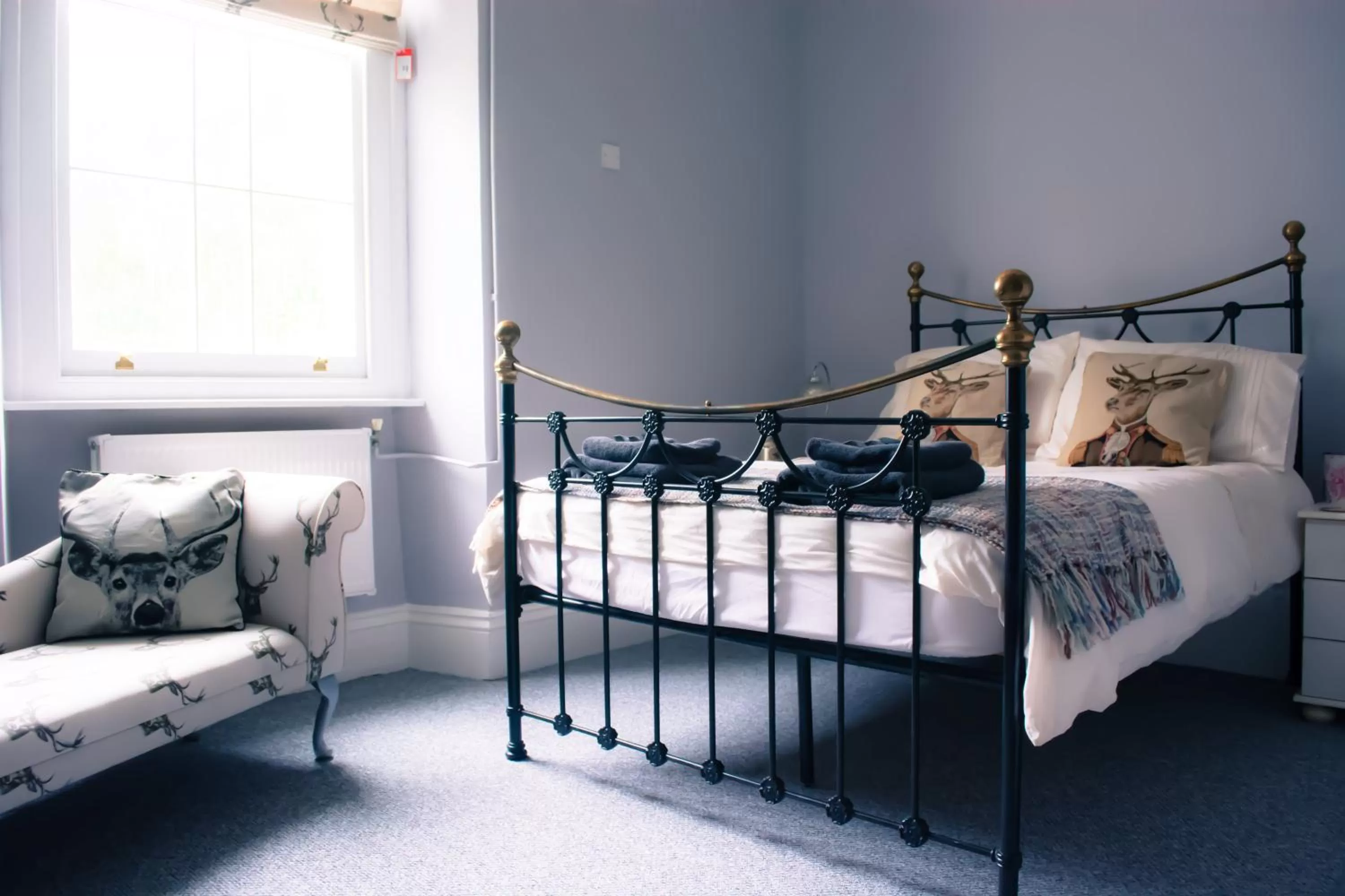 Bed in The Old Down Inn