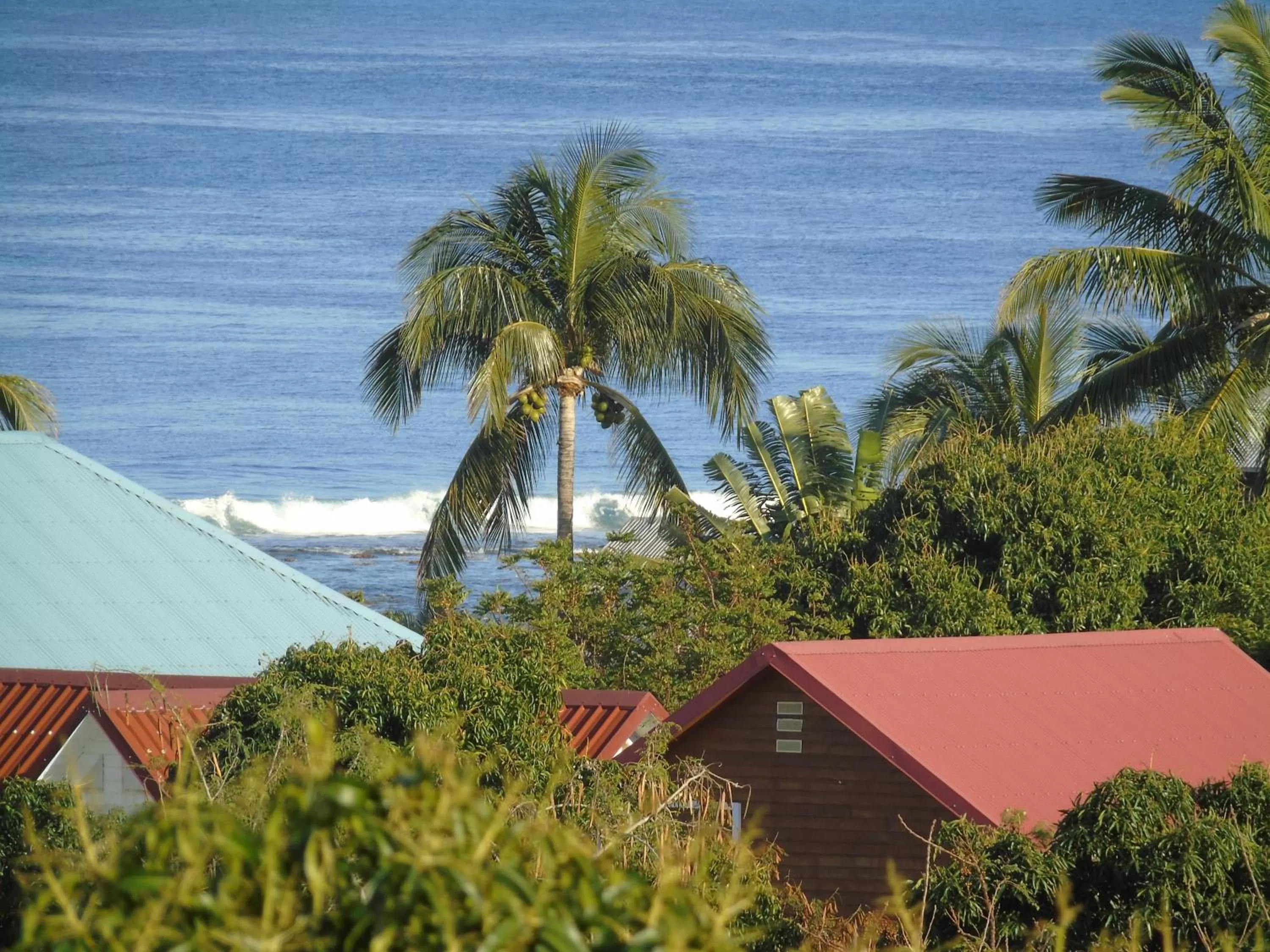 Pool View in Chambre d'Hôte Ti coin Tranquille