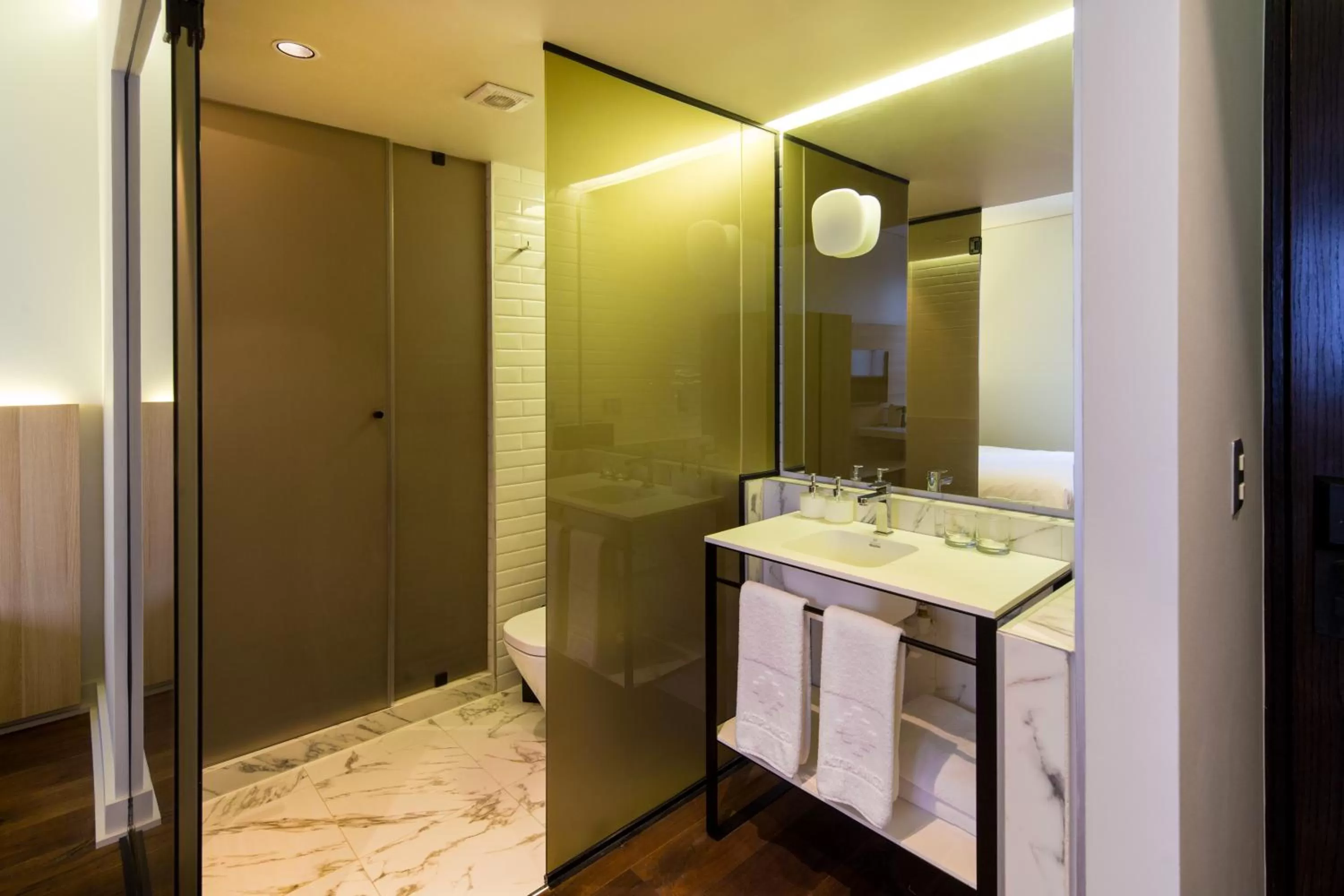 Bathroom in Hotel Altiplanico Bellas Artes