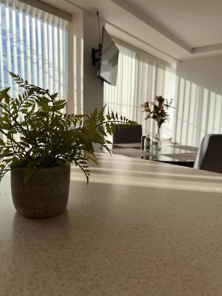 Departamentos Bonsai