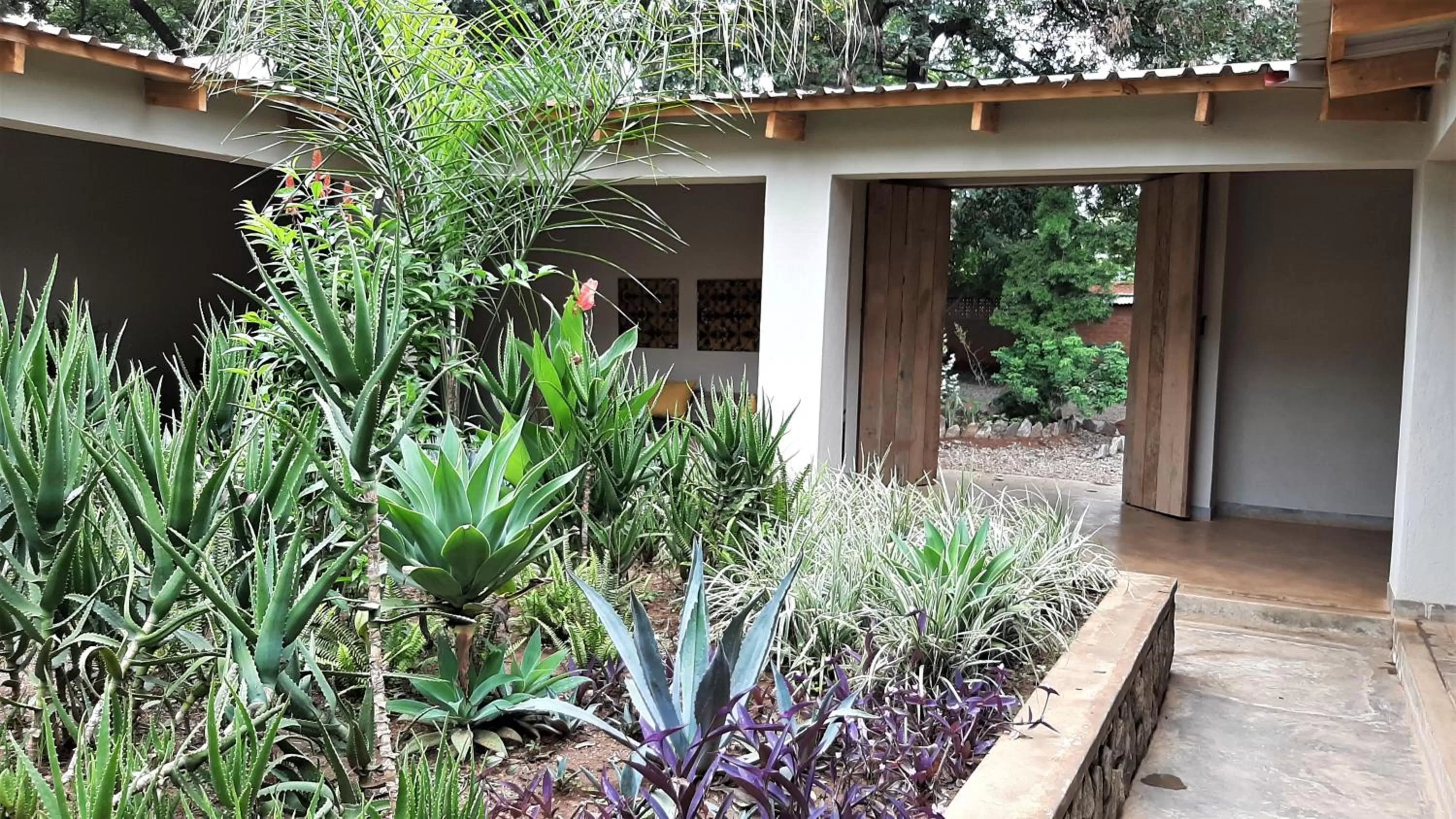 Patio, Property Building in Mitengo House