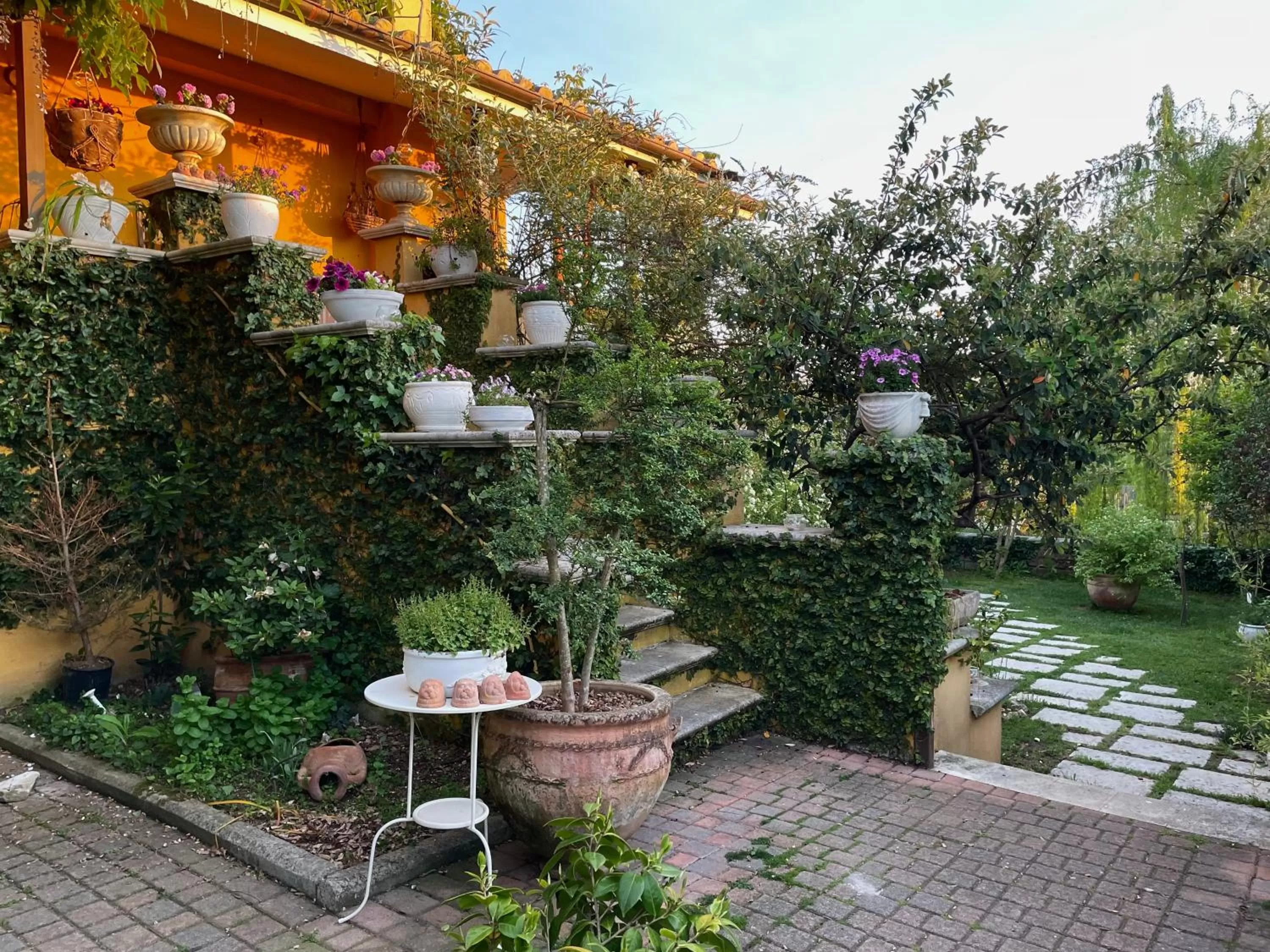 Garden in Home Sweet Home