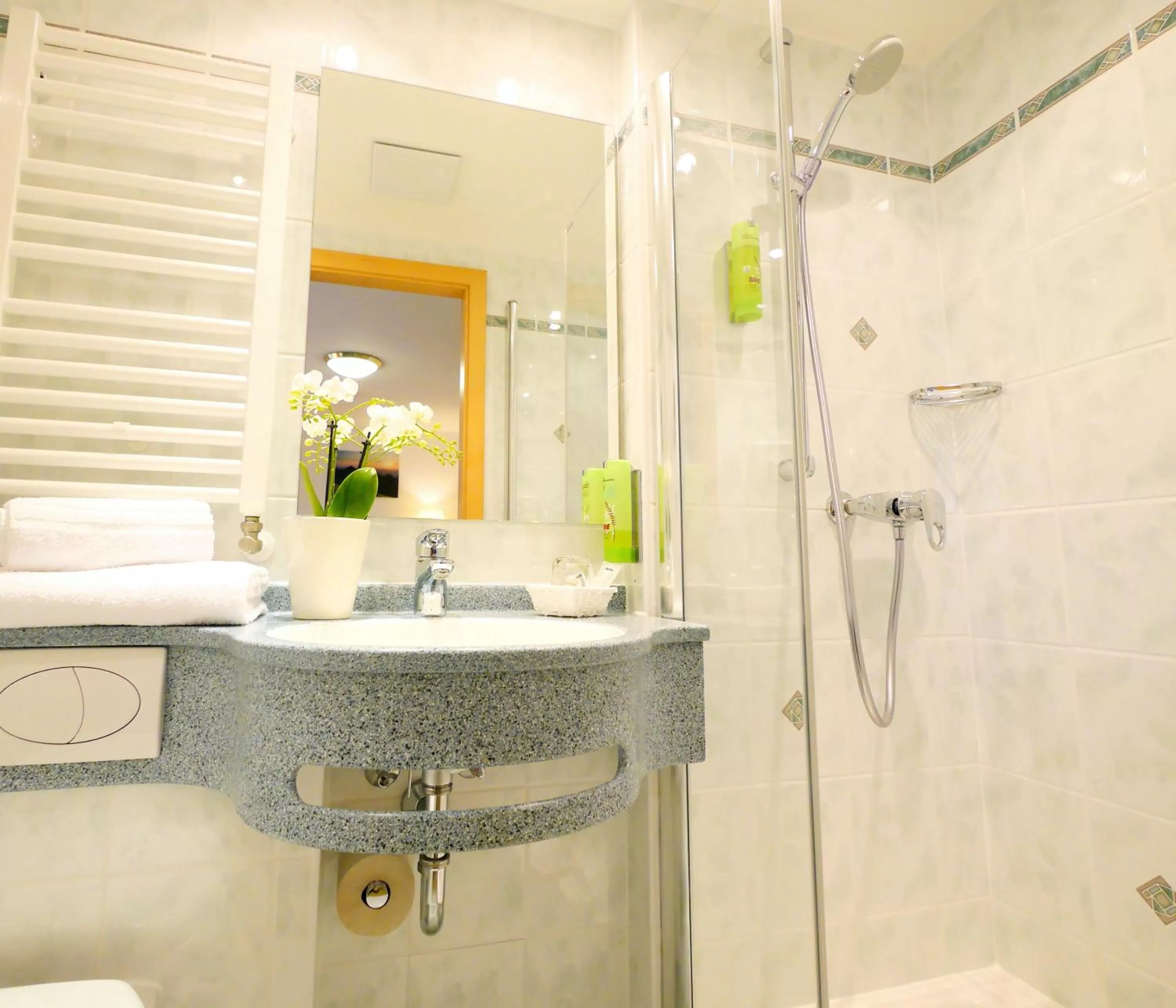 Bathroom in Berghotel Zollersteighof