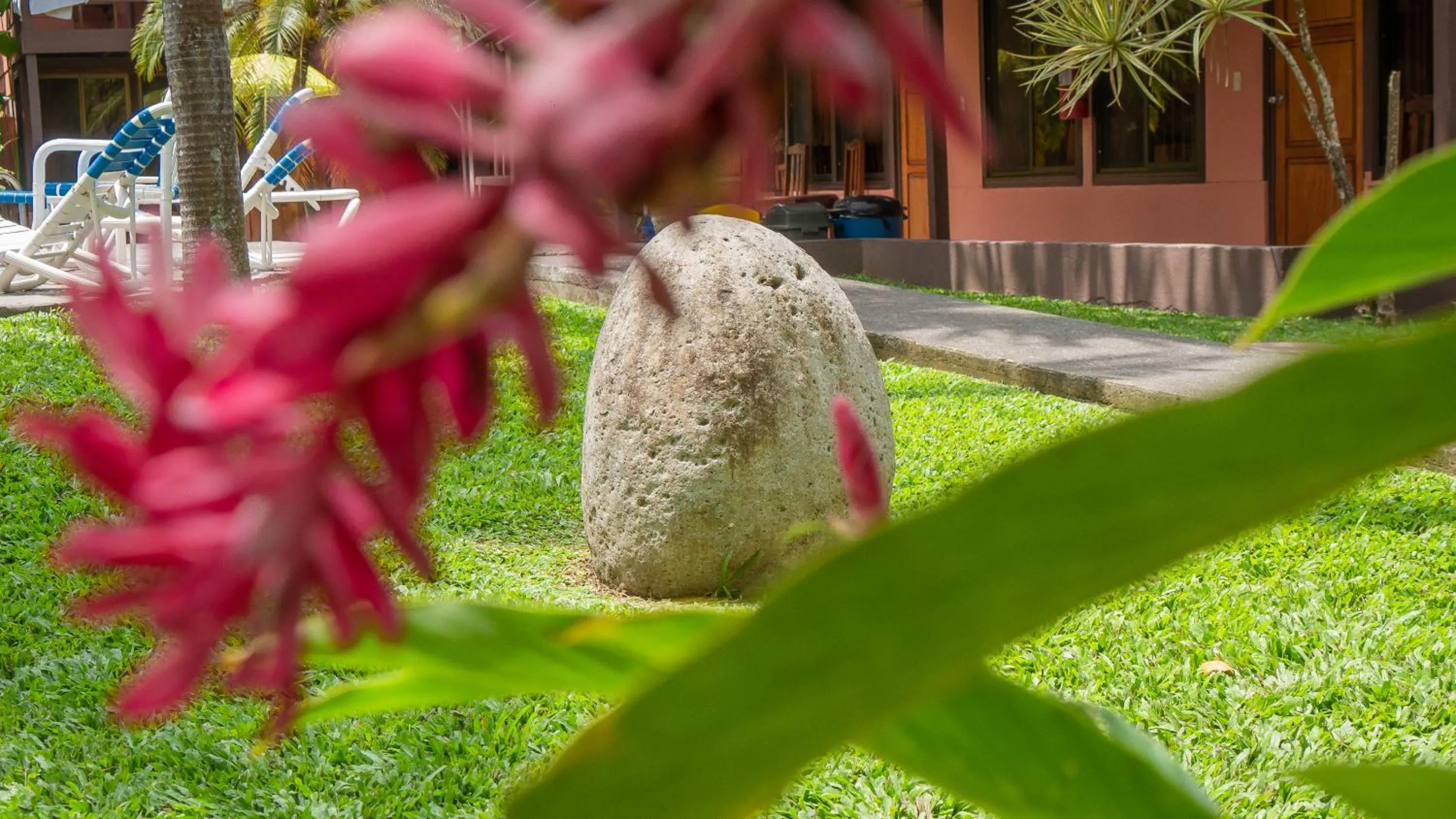 Garden in Hotel Los Ranchos
