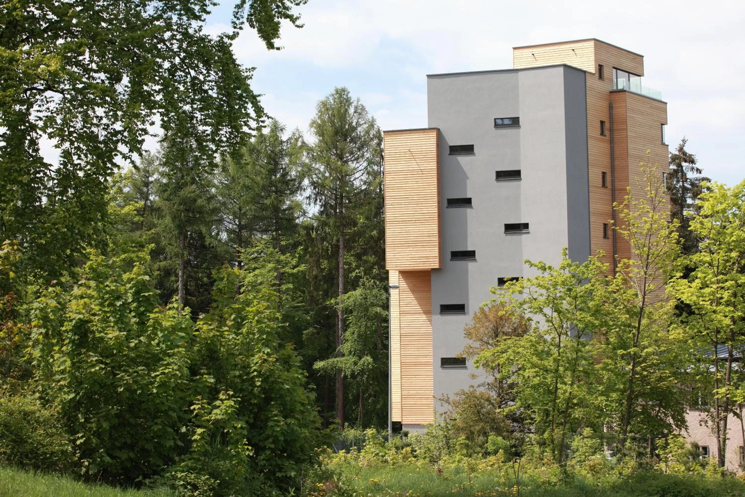 Area and facilities in The Seven Hotel