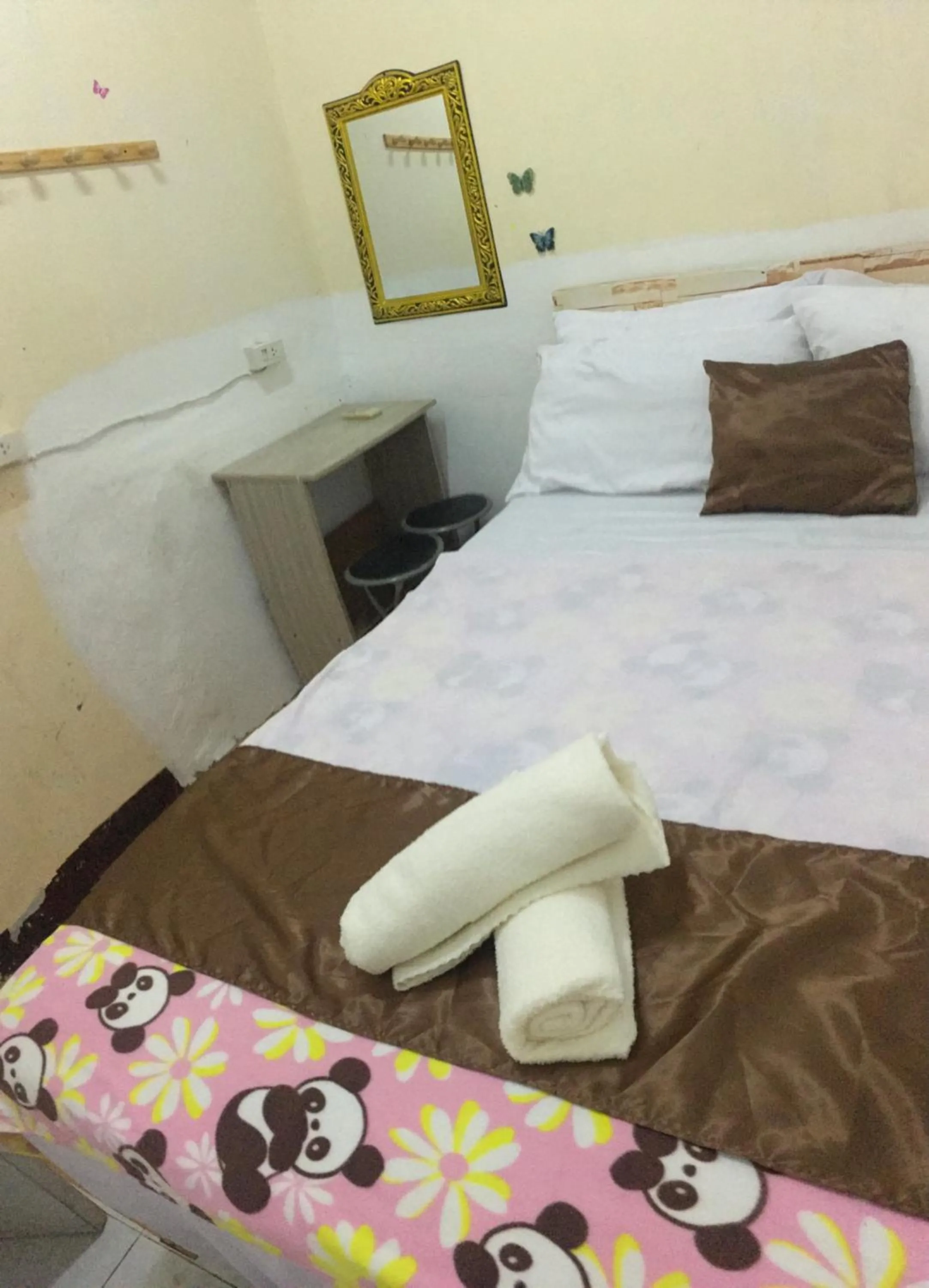 Bed in Hostel 24