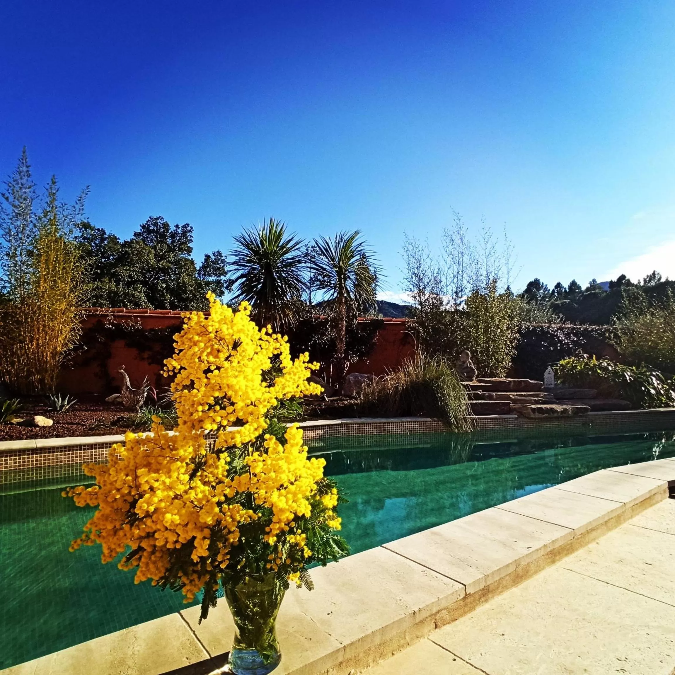 Swimming Pool in Villa SOREDE