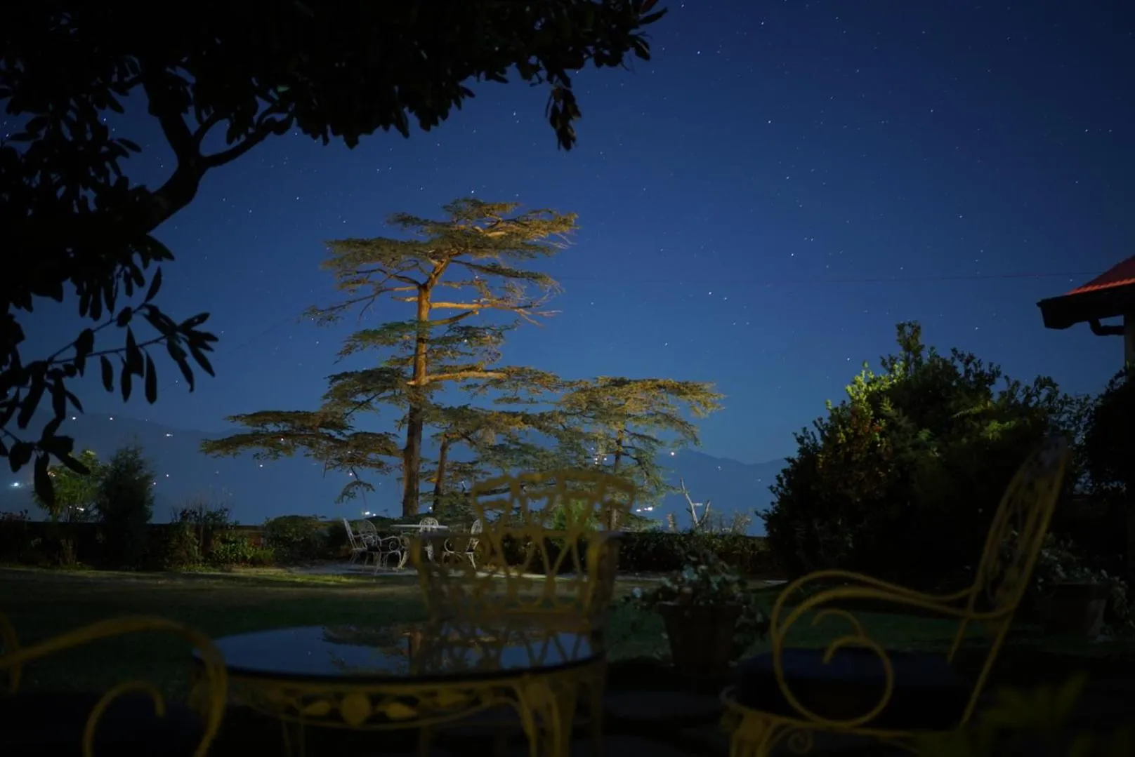 Springfields - A Heritage Palace Since 1902