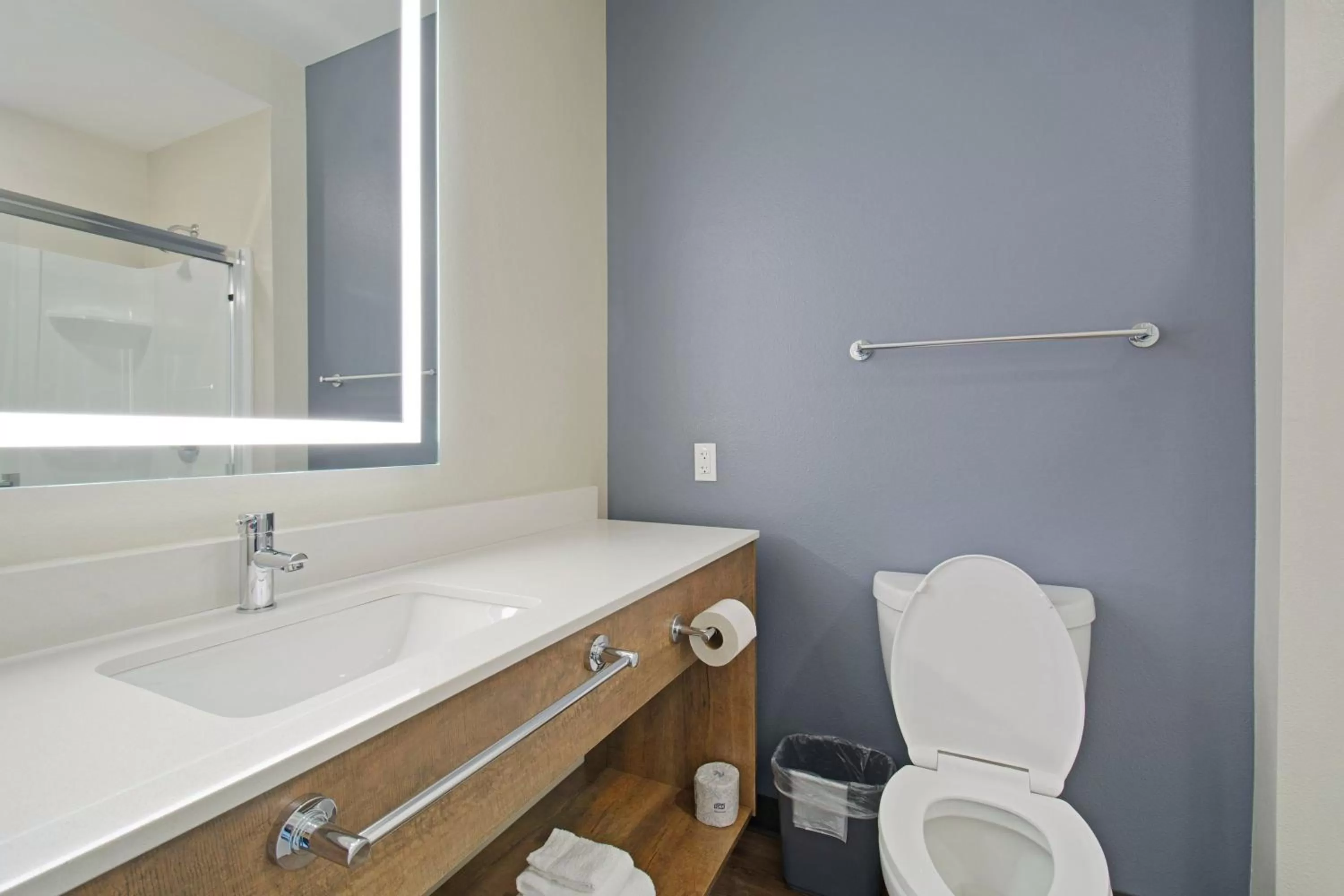 Bathroom in Extended Stay America Premier Suites - Austin - Austin Airport