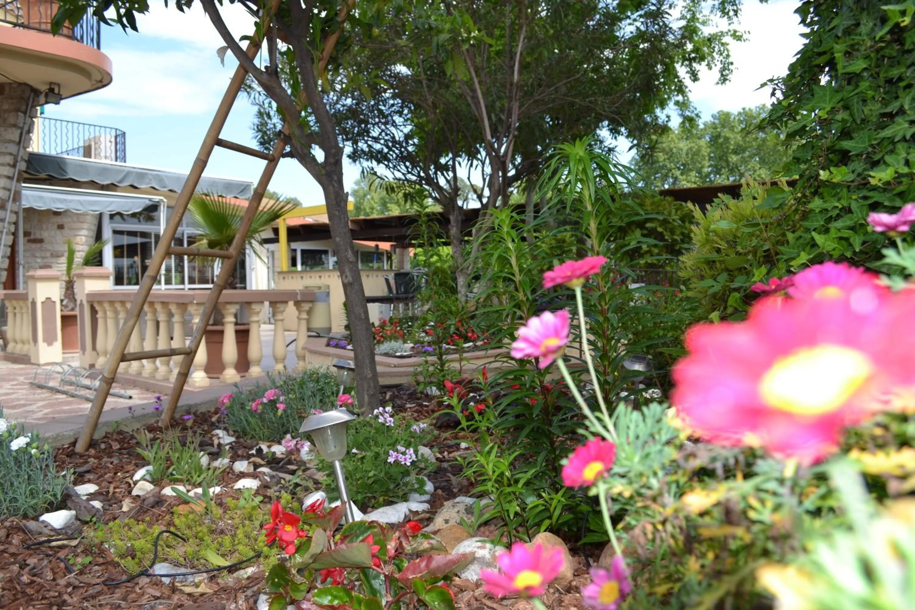 Garden in Hôtel restaurant Mon Auberge
