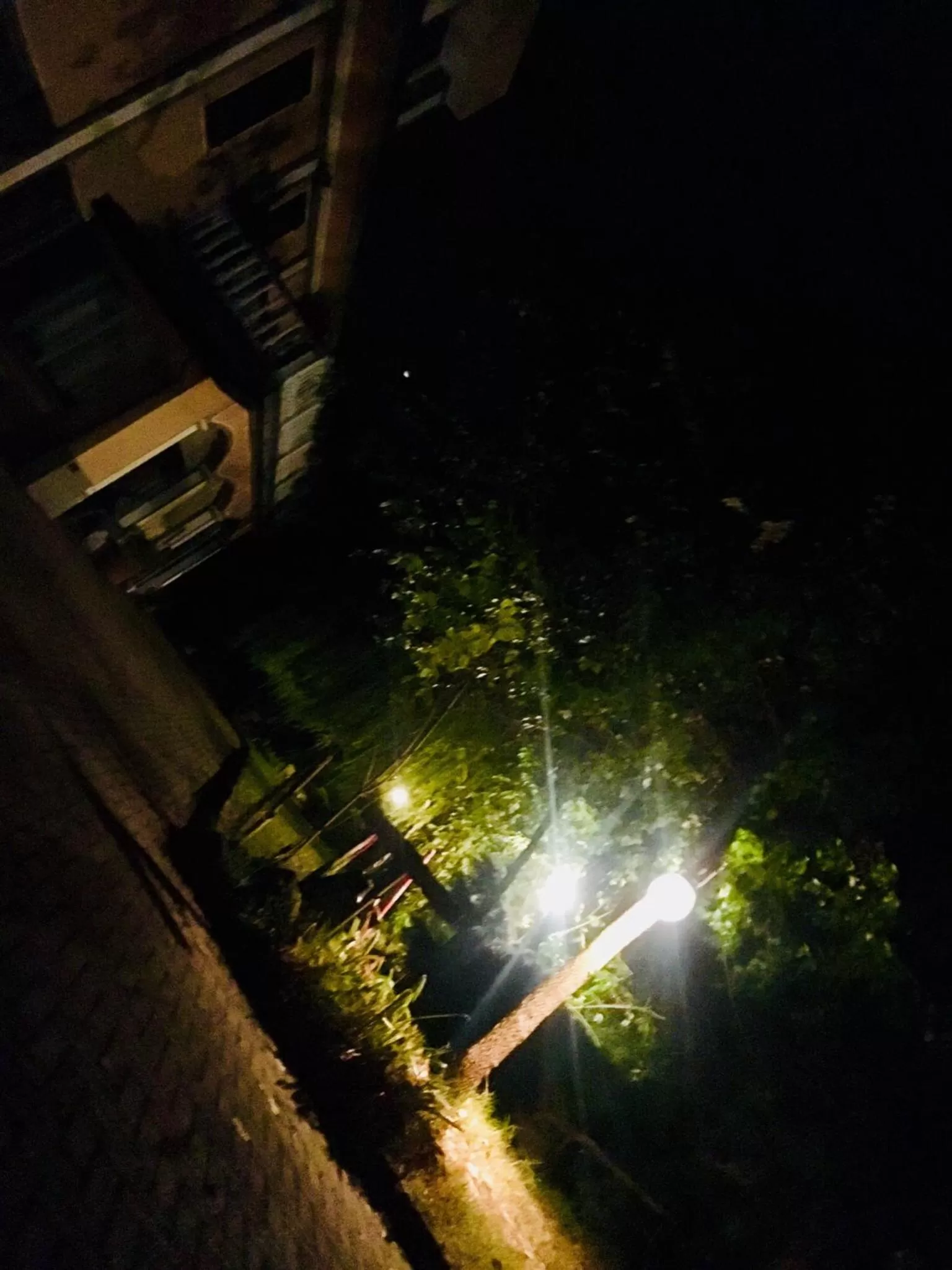 Rossella alla Villarella dei Tulipani