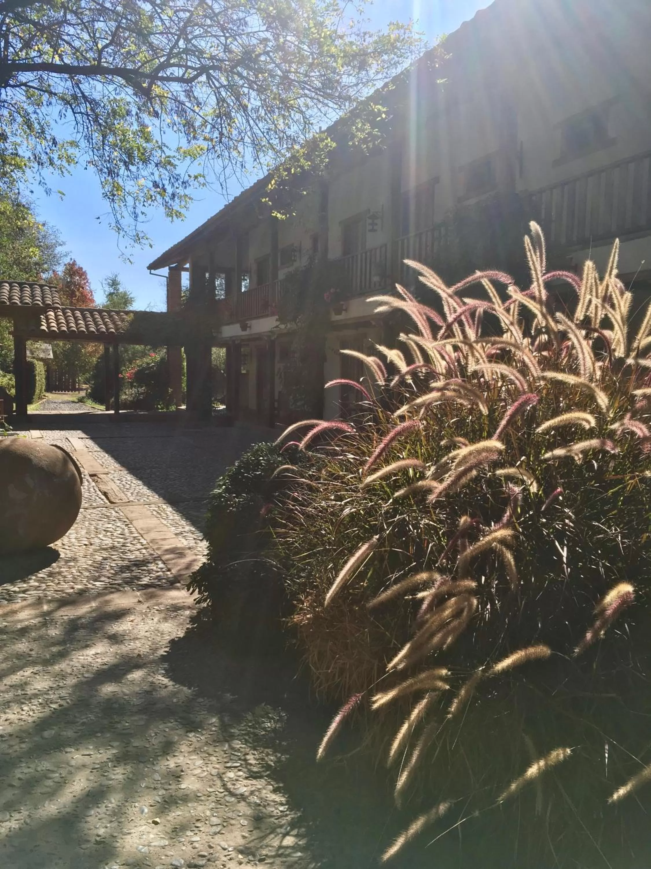 Patio in Hotel Casa De Campo