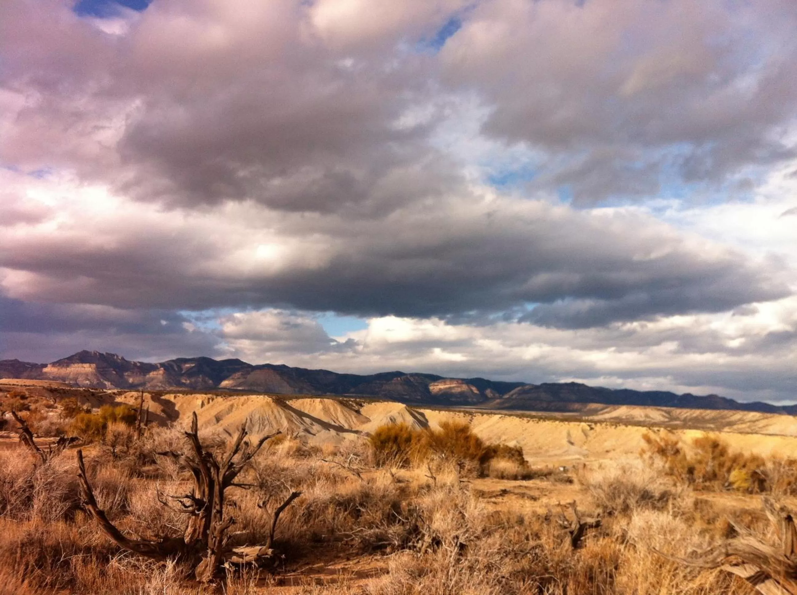 Natural landscape in Legacy Inn