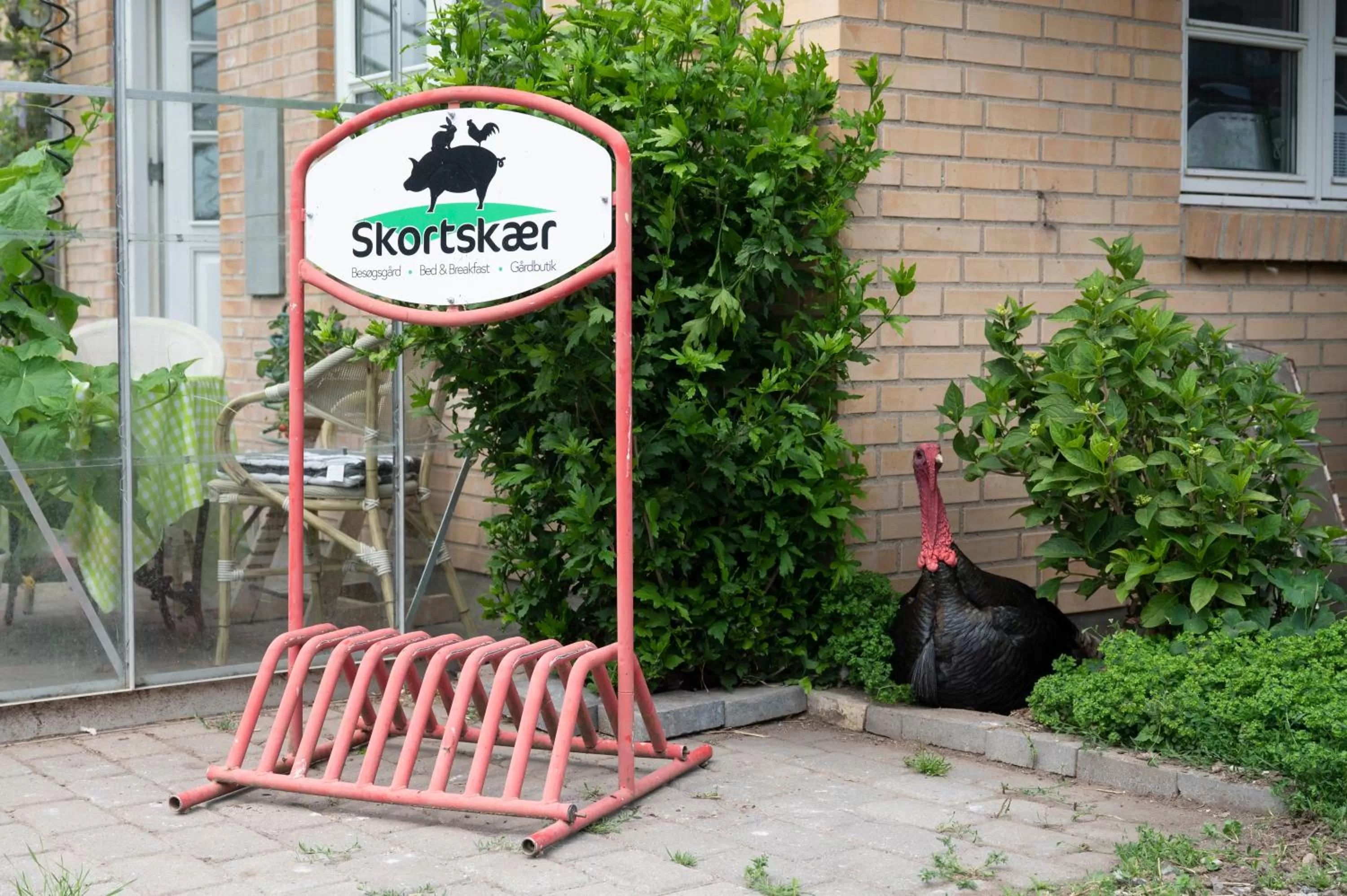 Garden in Skortskær Bondegårdsferie